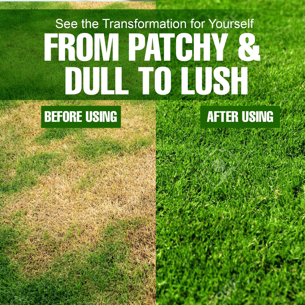 Slow Release Lawn Fertilizer 25-5-10 NPK - 65% Granular Nitrogen Formula for Deep Feeding up to 110 Days - 10kg (22lbs) Bag - Kid & Pet Safe Lawn Care for Lush Green Grass