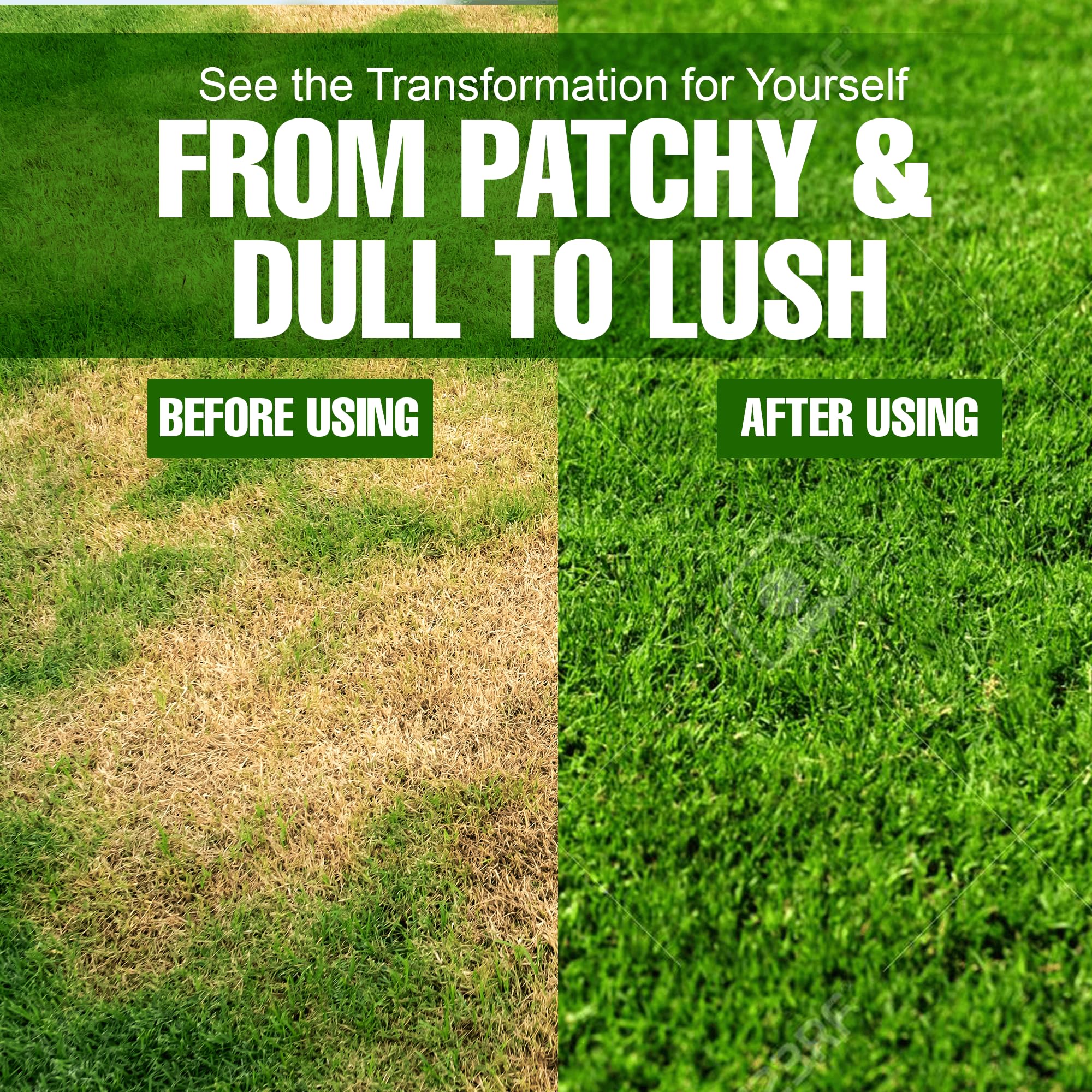 Slow Release Lawn Fertilizer 25-5-10 NPK - 65% Granular Nitrogen Formula for Deep Feeding up to 110 Days - 10kg (22lbs) Bag - Kid & Pet Safe Lawn Care for Lush Green Grass