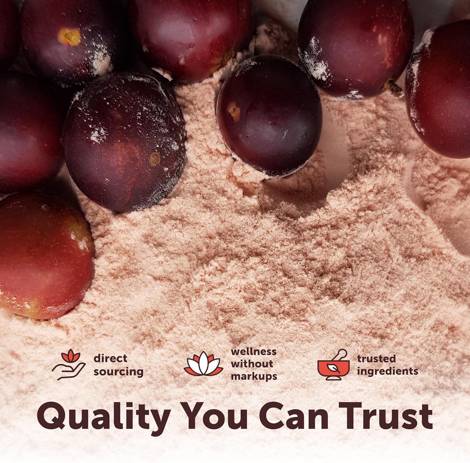 Micro Ingredients Organic Camu Camu Powder, 12 oz | Freshly Harvested Berry Source | Source of Naturally Occurring Vitamin C | Non-GMO, Vegan Friendly