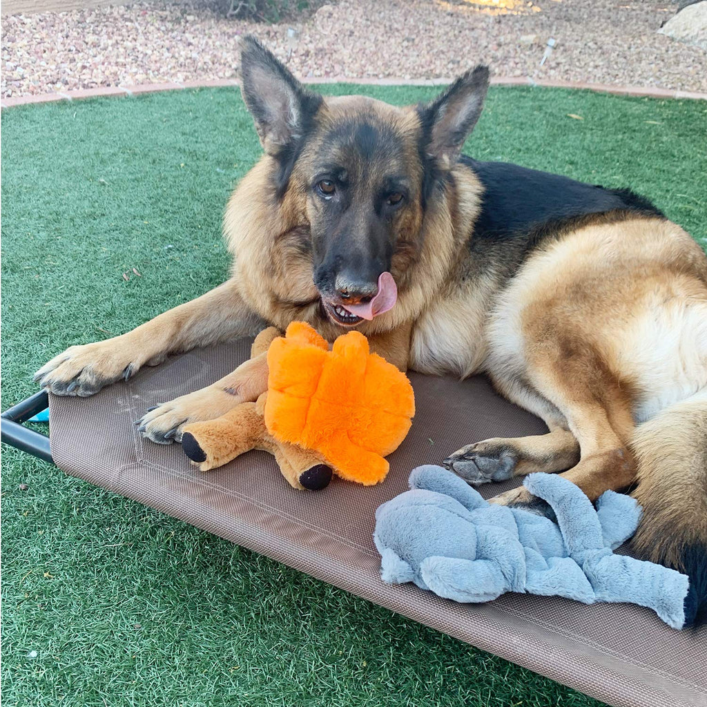 Jalousie Multipack Dog Squeaky Toys Strong Almost Indestructible, with Added Liner for Longer Play Dog Chew Toys (3 Pack - XLarge)