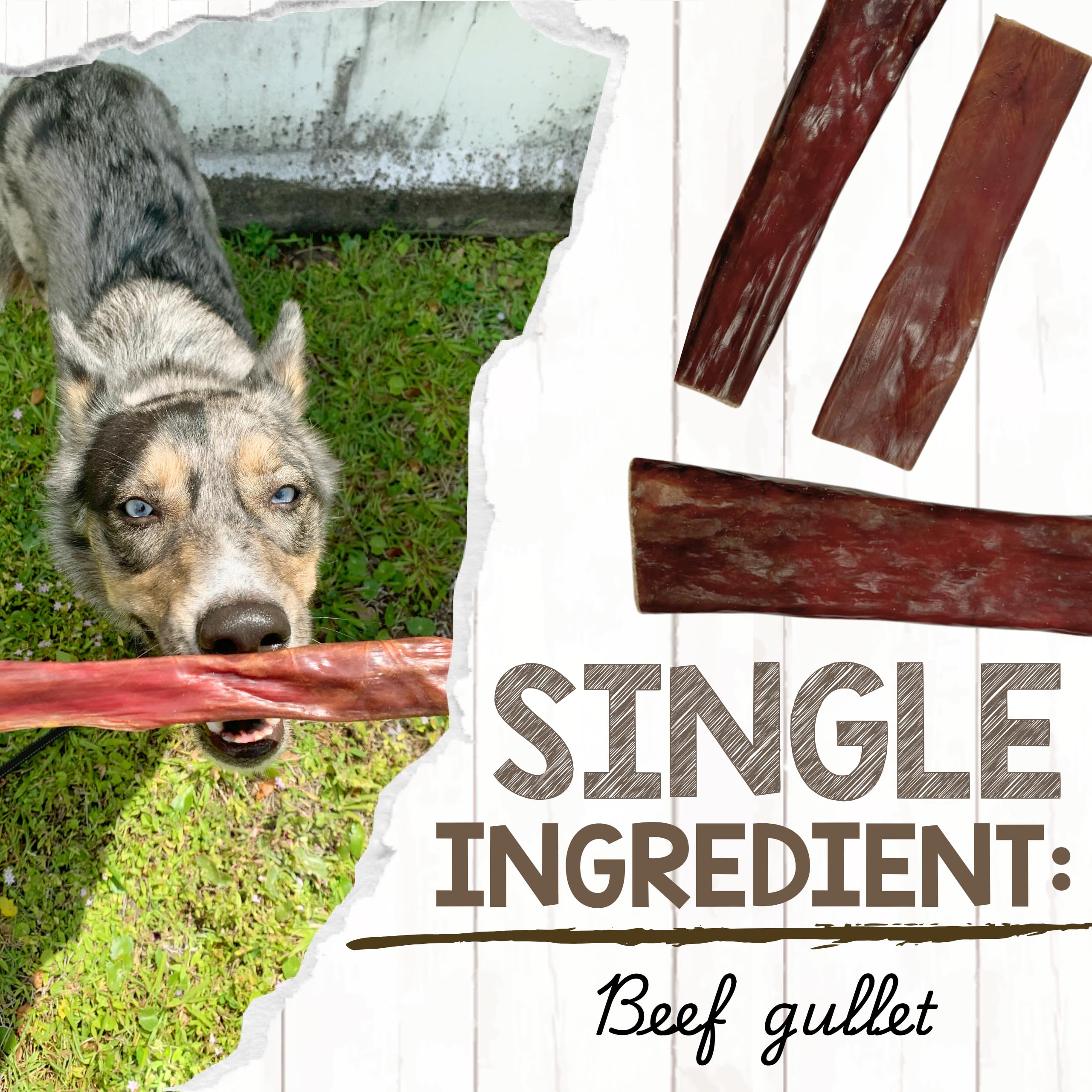 Nature Gnaws Beef Gullet Chews for Small Dogs 4-5" (20 Count) - Natural Beef Jerky Stick Dog Chew Treats - Rawhide Free