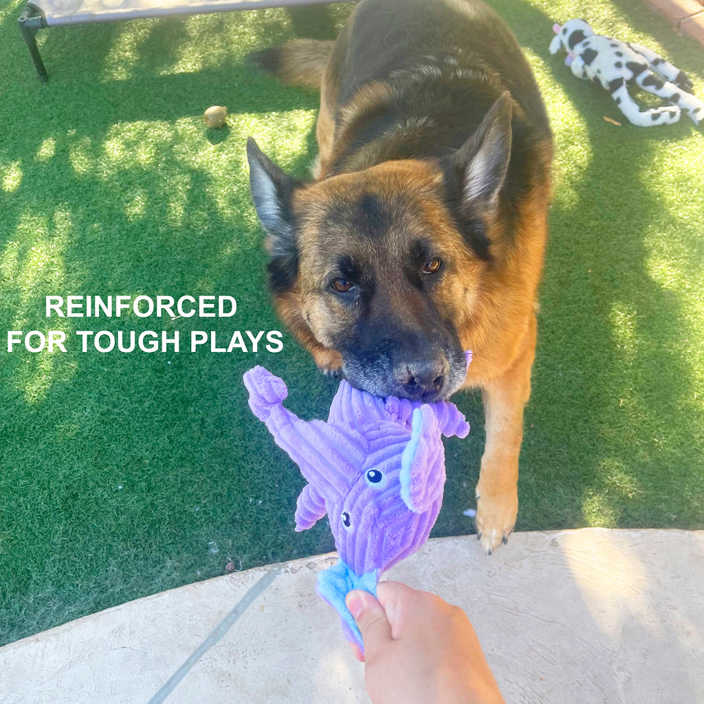 Jalousie Multipack Dog Squeaky Toys Strong Almost Indestructible, with Added Liner for Longer Play Dog Chew Toys (3 Pack - XLarge)