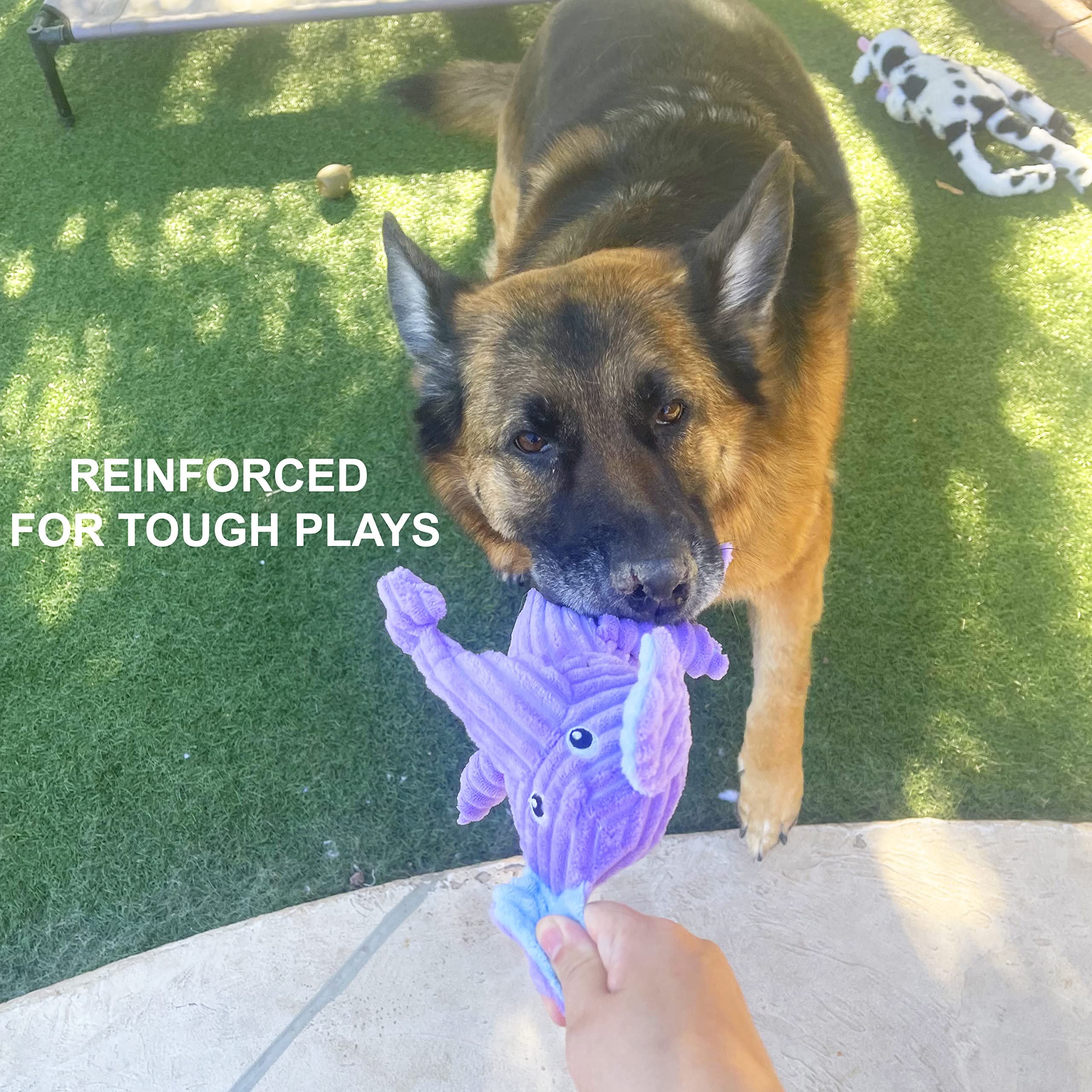 Jalousie Multipack Dog Squeaky Toys Strong Almost Indestructible, with Added Liner for Longer Play Dog Chew Toys (3 Pack - XLarge)