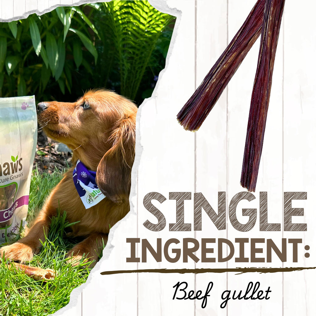 Nature Gnaws Beef Gullet Chews for Small Dogs 4-5" (20 Count) - Natural Beef Jerky Stick Dog Chew Treats - Rawhide Free