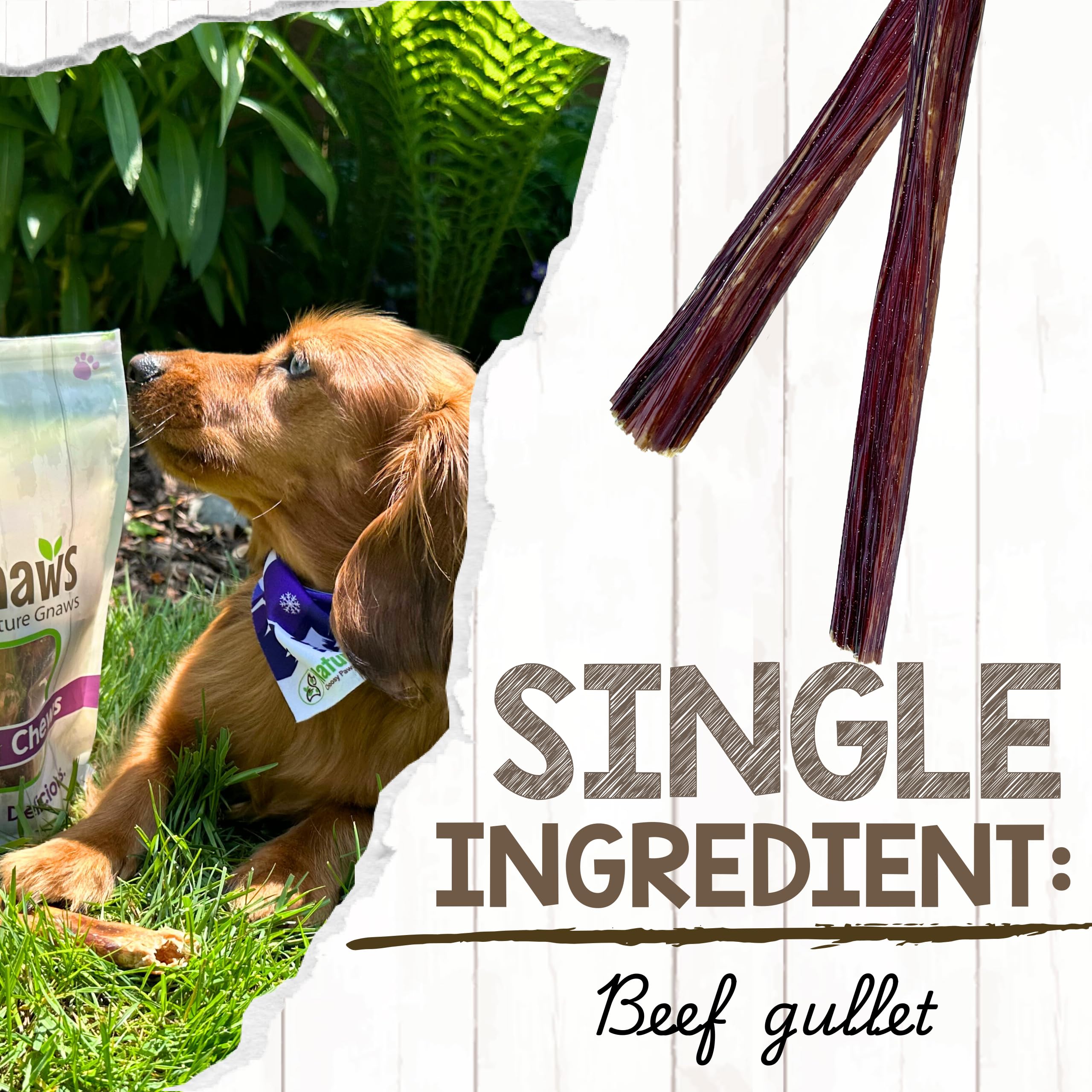Nature Gnaws Beef Gullet Chews for Small Dogs 4-5" (20 Count) - Natural Beef Jerky Stick Dog Chew Treats - Rawhide Free