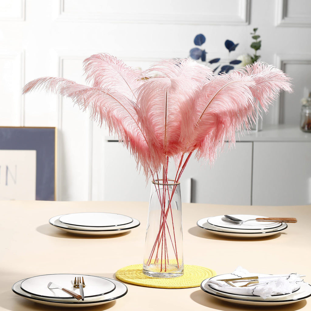 Ballinger Black Ostrich Feathers Bulk - Making Kit 12Pcs 16-18inch Large Ostrich Feathers for Floral Arrangement, Vase, Wedding Party Centerpieces and Halloween Home Decor