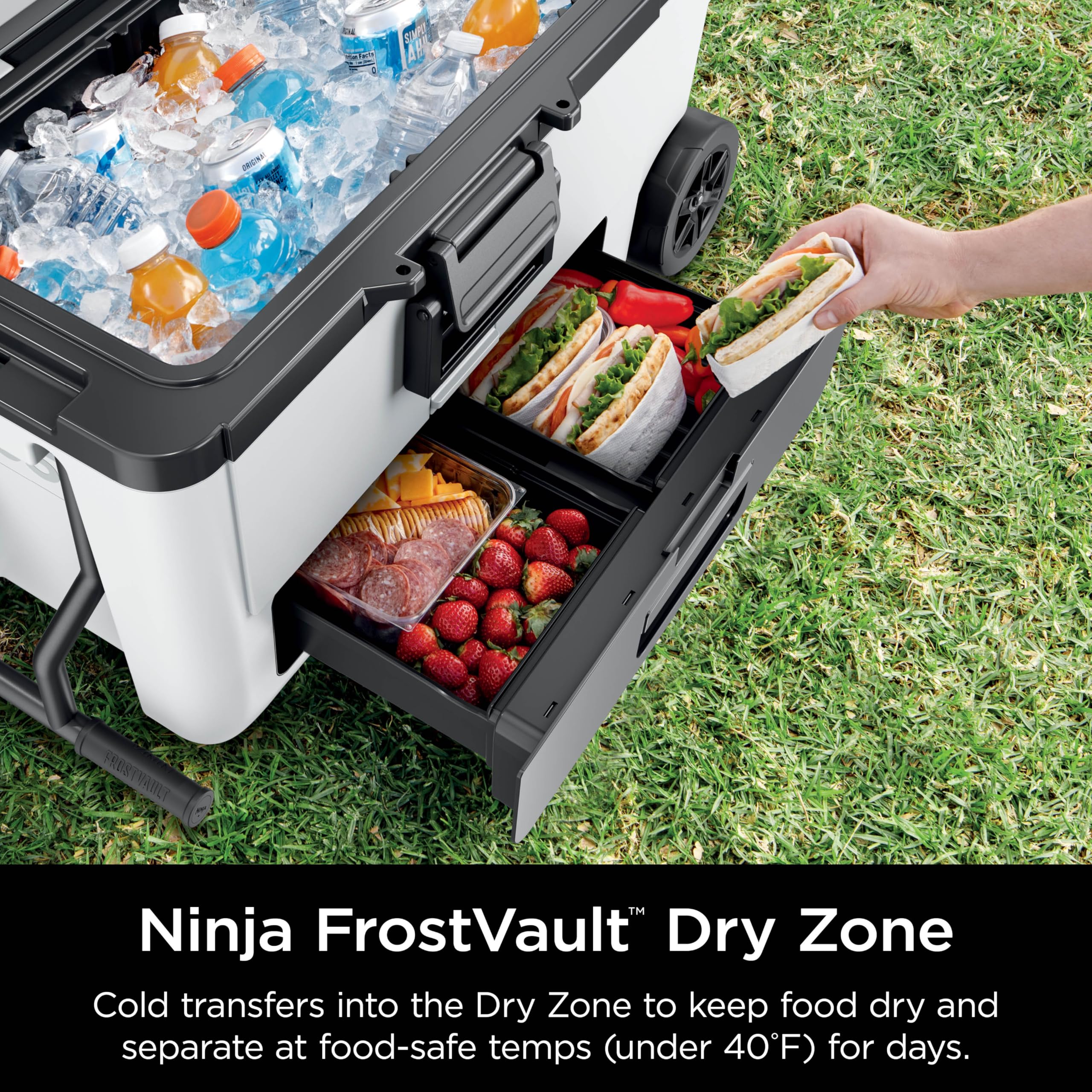 Ninja FrostVault | 65qt Wheeled Cooler with Cold Dry Zone | Integrated Fridge-Temp Dry Storage Drawer | Premium Heavy-Duty Insulated Cooler | Keeps Ice for Days | Charcoal Gray | FB265CG
