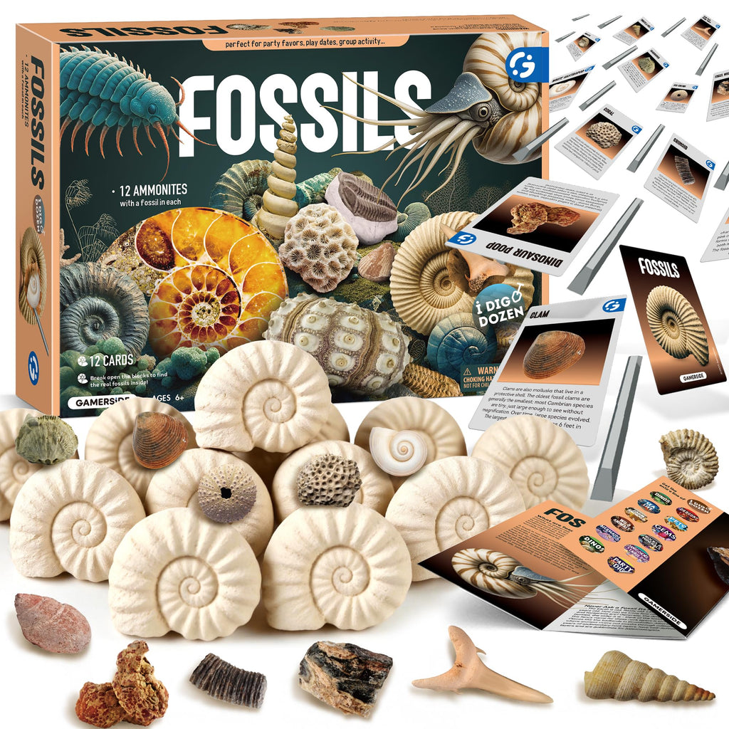 Gamerside Fossil Dig Kit - Educational STEM Science Toys for Kids Ages 6+ - Dig Up 12 Fossils Real & Dinosaur Bones Rocks - Digging Activities Kits - Paleontology, Discovery Gifts for Boys & Girls