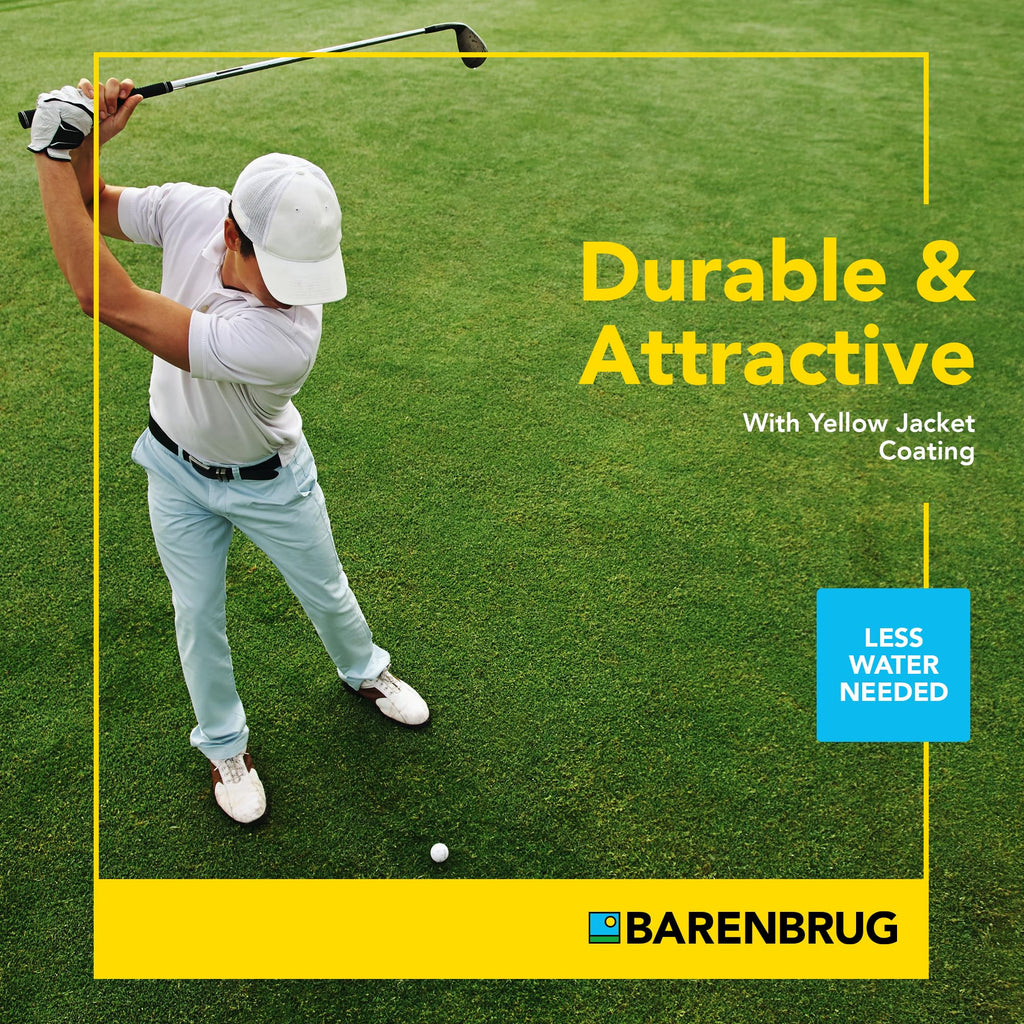 Barenbrug Turf Saver RTF Grass Seed with Yellow Jacket Seed Coating - Less Water Self-Repairing Tall Fescue Turf for Use on Sports Field, Golf Courses, Parks, Lawns, and Yard (10 LB Bag)