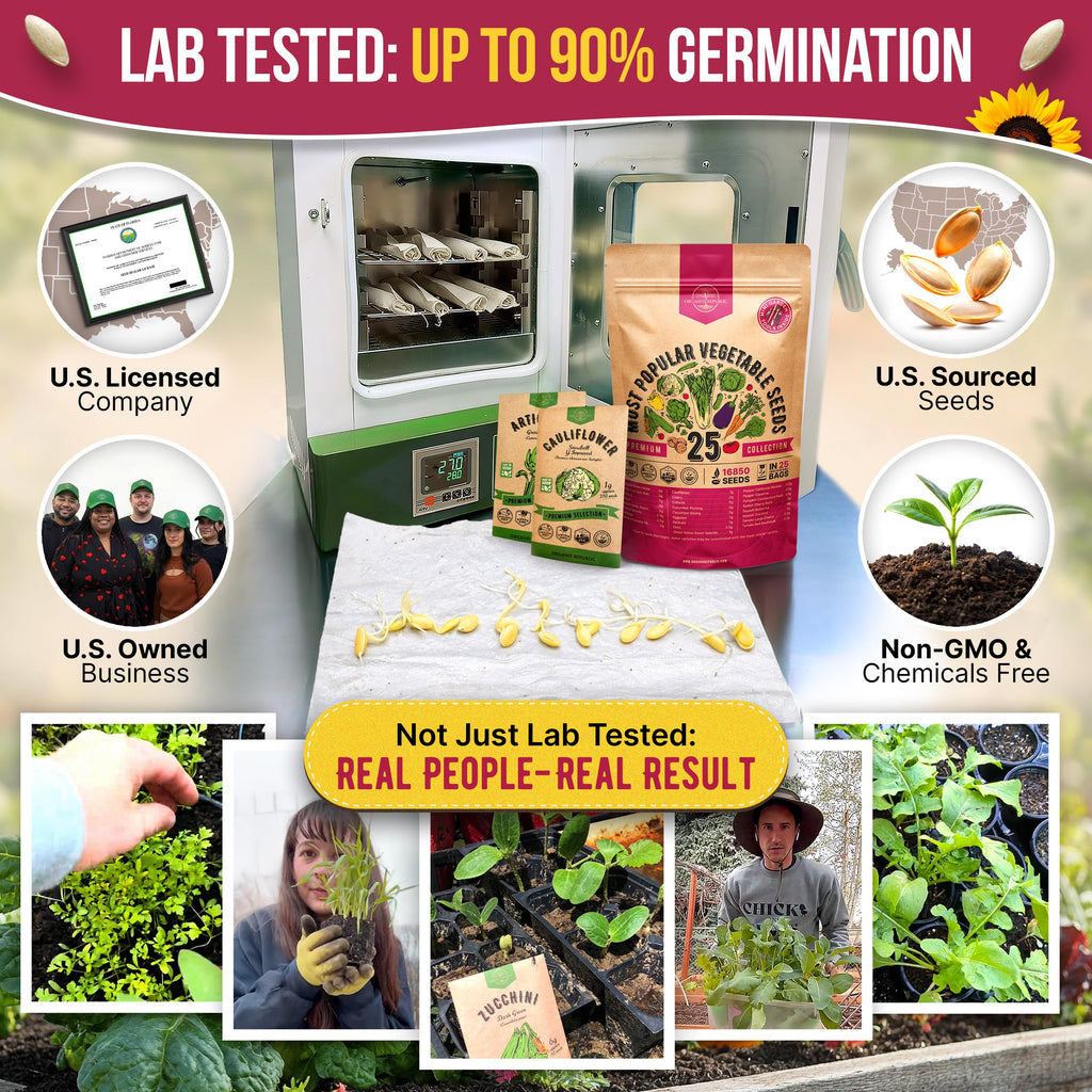 20 Vegetable Seeds Variety Pack - 12,465+ Non-GMO Heirloom Seeds for Planting Vegetables and Fruits in Individual Seed Packets, Home Garden Seed for Hydroponic, Indoor and Outdoors Gardening