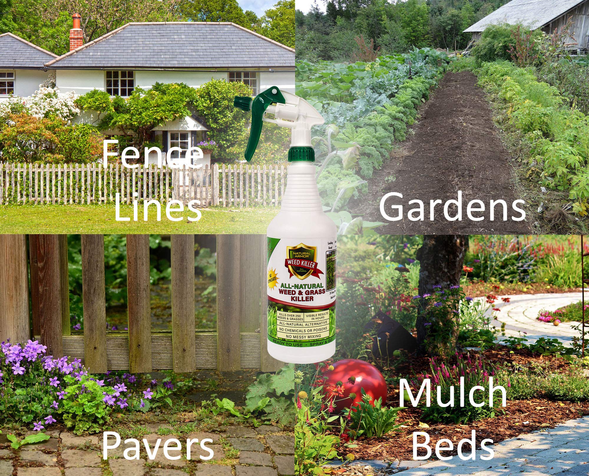Natural Armor Weed and Grass Killer All-Natural Concentrated Formula. Contains No Glyphosate (16 Ounce Pint)