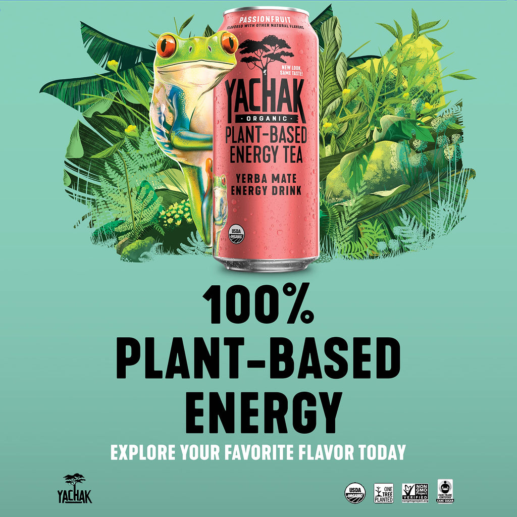 Yachak Yerba Mate Drink, Blackberry, 16 Fl Oz Cans, Pack of 12