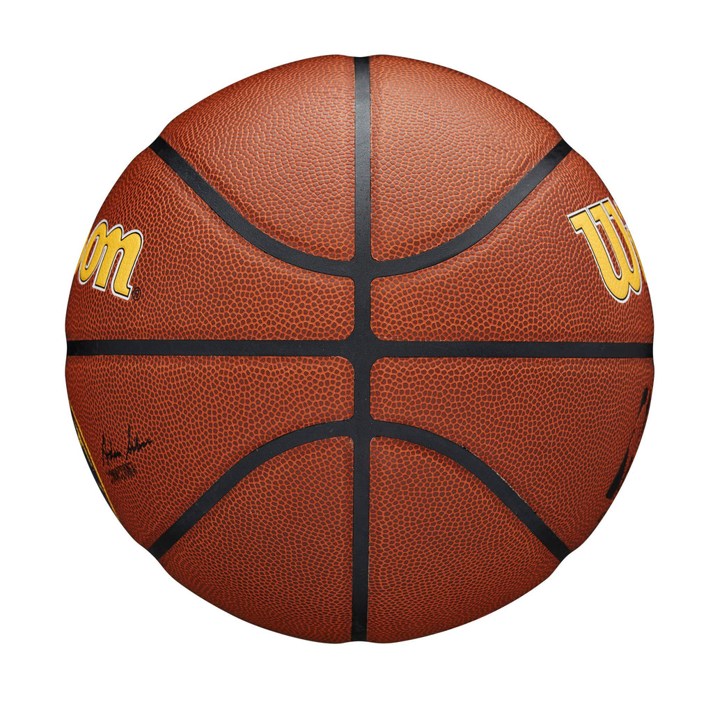 WILSON NBA Team Alliance Basketballs - Size 7-29.5"