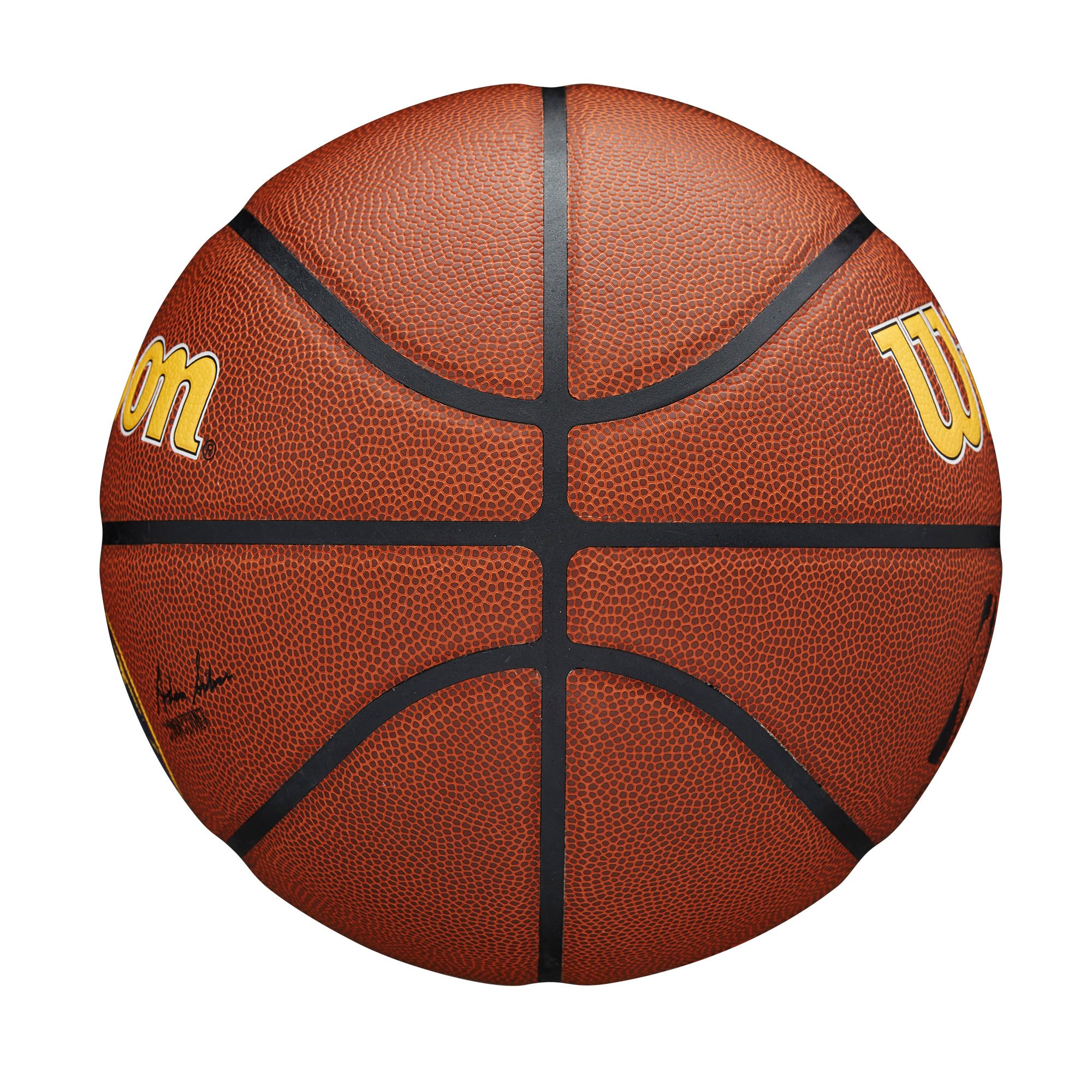 WILSON NBA Team Alliance Basketballs - Size 7-29.5"