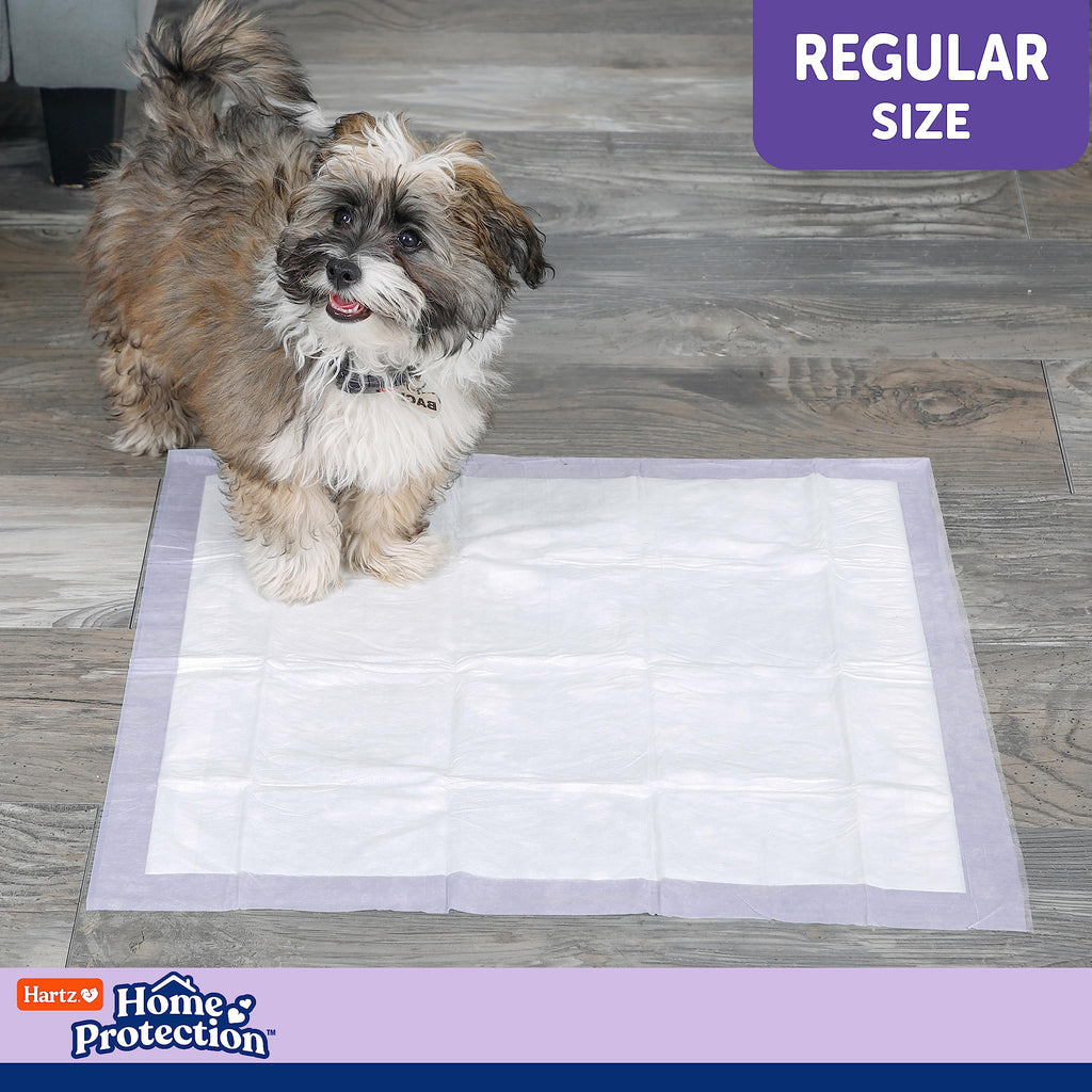 Hartz Home Protection Super Absorbent Odor Eliminating Lavender Scented No Leak Dog Pads, 50 count