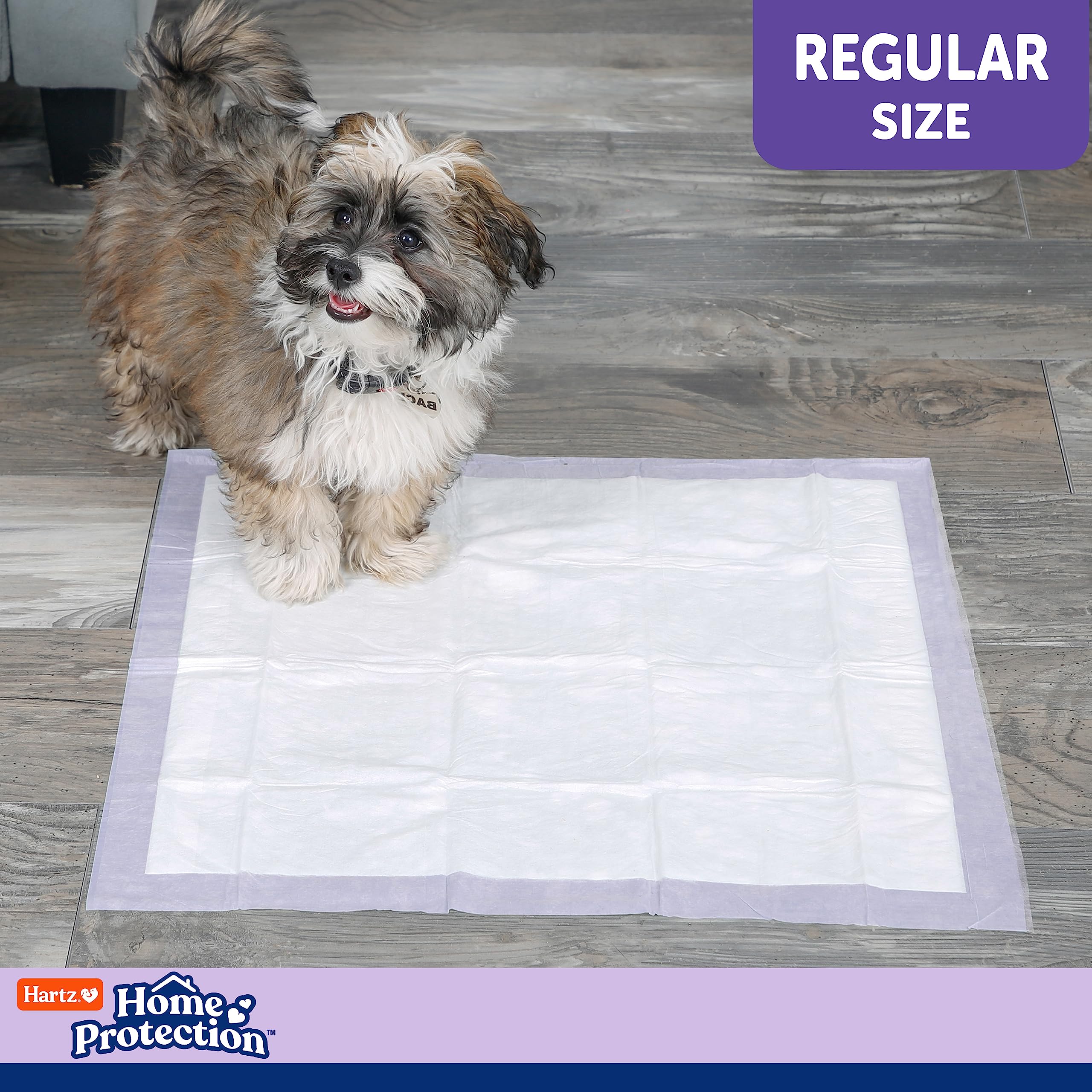Hartz Home Protection Super Absorbent Odor Eliminating Lavender Scented No Leak Dog Pads, 50 count
