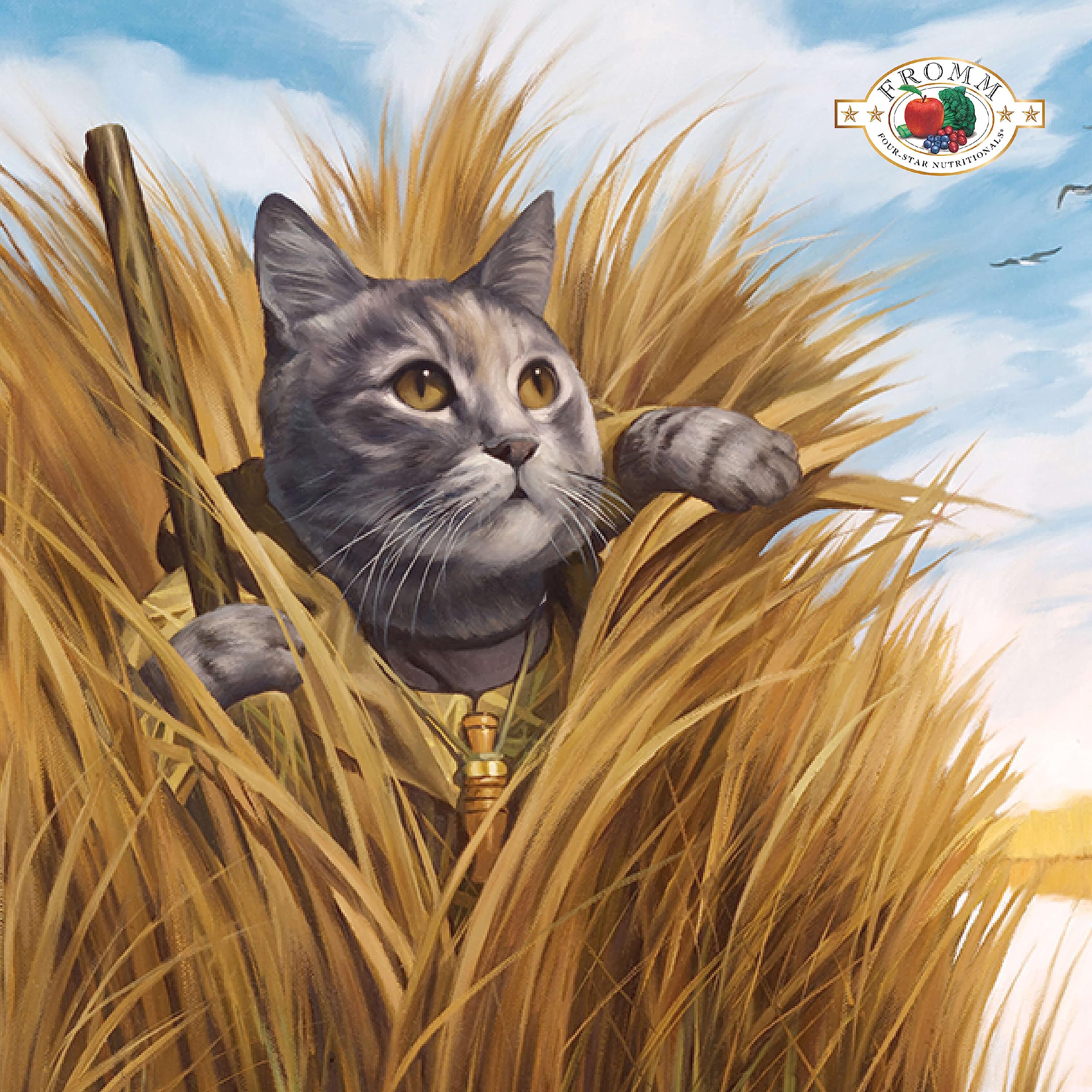Fromm Four-Star Nutritionals Beef Livattini Veg Cat Food - Premium Dry Cat Food - Beef Recipe - 4 lb