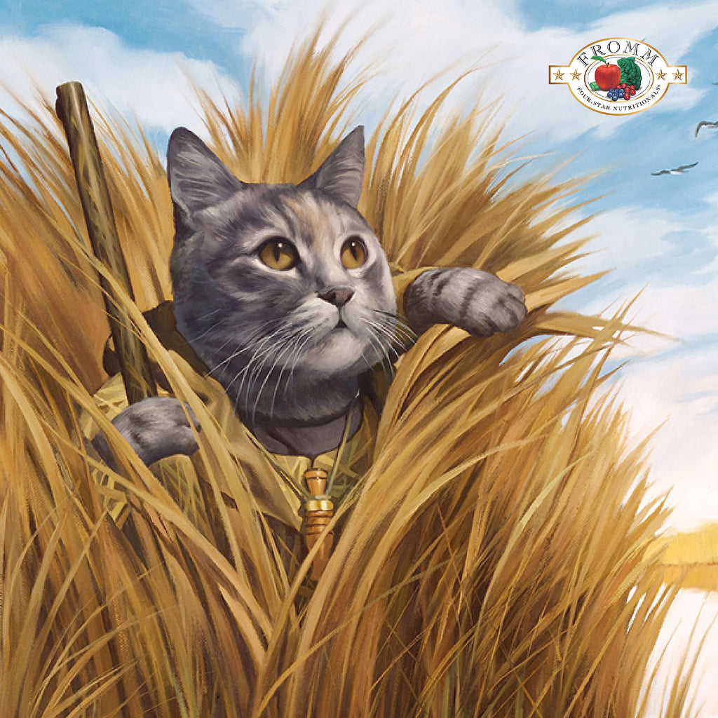 Fromm Four-Star Nutritionals Beef Livattini Veg Cat Food - Premium Dry Cat Food - Beef Recipe - 4 lb