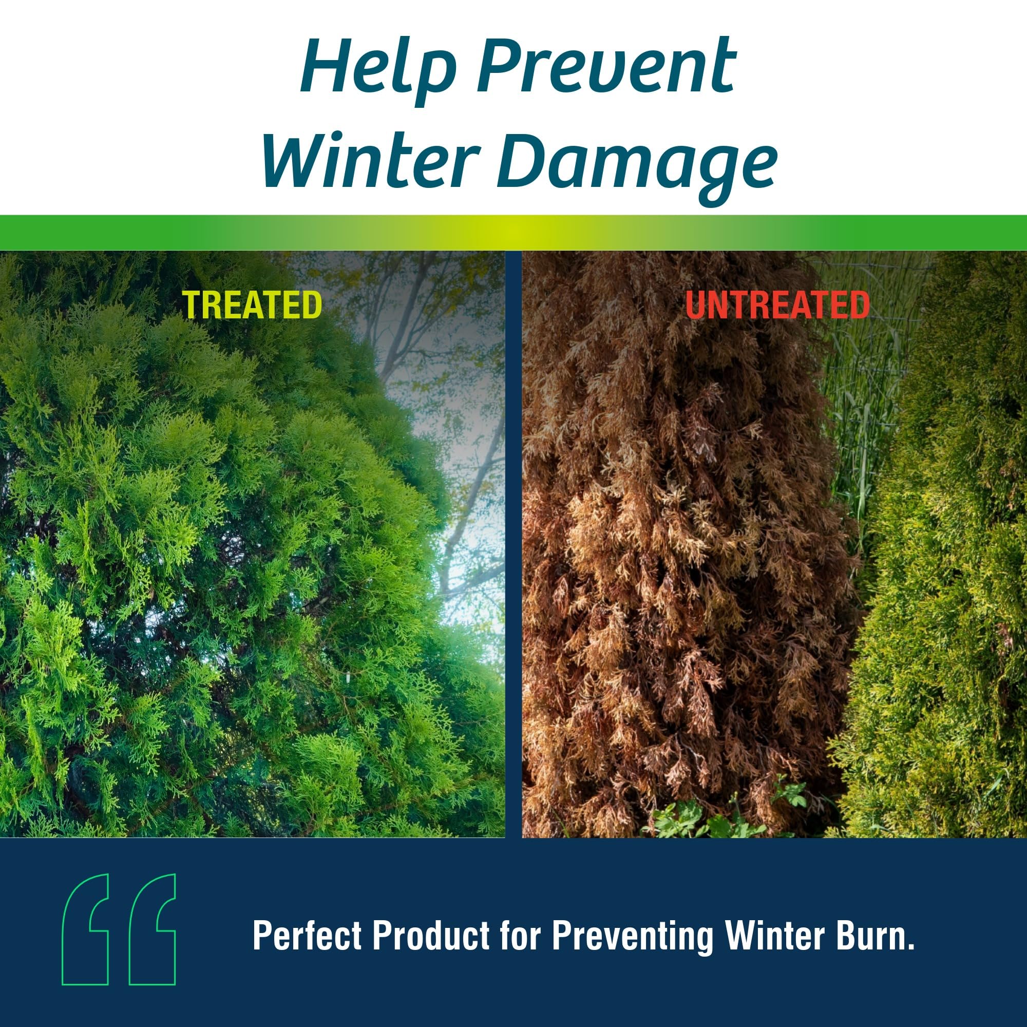 Wilt-Pruf® Concentrate | Protect Against Winter Damage, Drought, and Stress | Just Spray & Let Dry | Locks in Moisture w/Clear Foliar Film | Professional-Grade & Trusted | Replaces Burlap | (1 Gal)