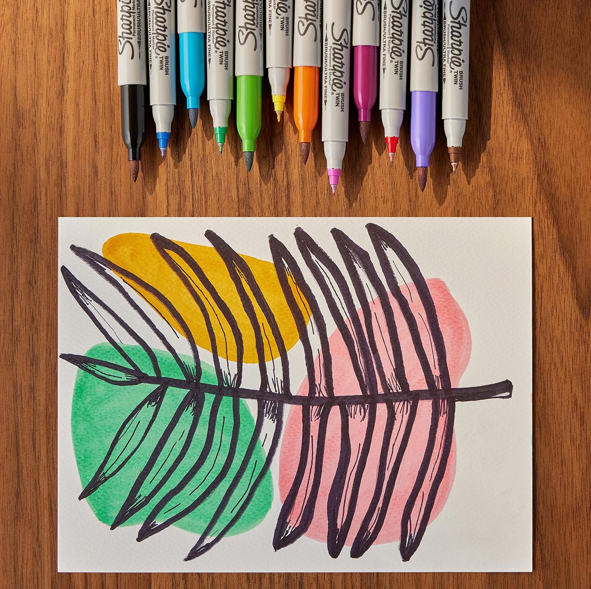 Sharpie Brush Twin Permanent Markers, Brush & Ultra Fine Tips, Assorted Colors, 12 Count - Arts & Crafts, Office Supplies