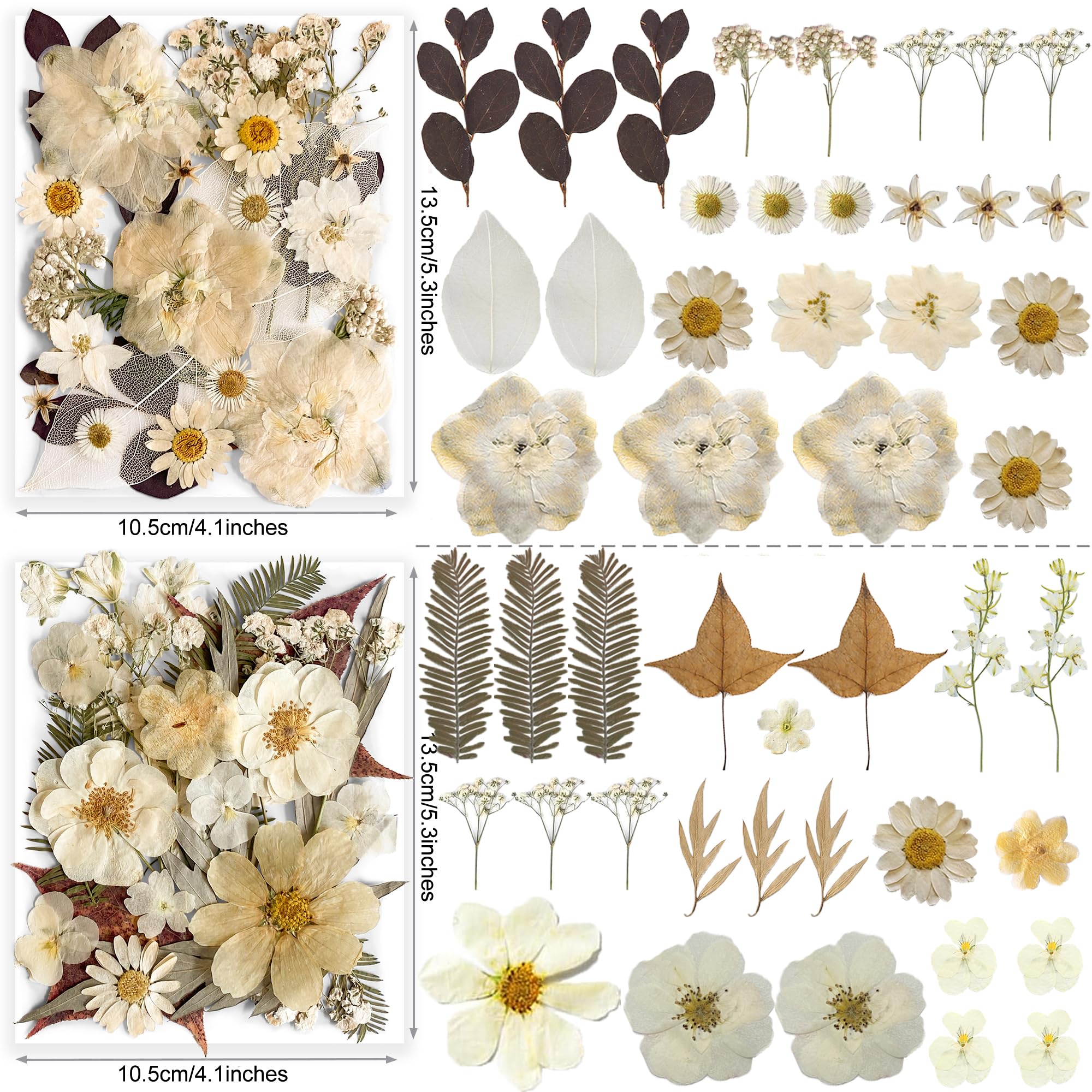 96PCS Vintage White Dried Pressed Flowers for Resin Craft - YouthBro Real Nature Flowers Set with 50 PCS Butterfly Stickers for DIY Scrapbook Art Floral Decors