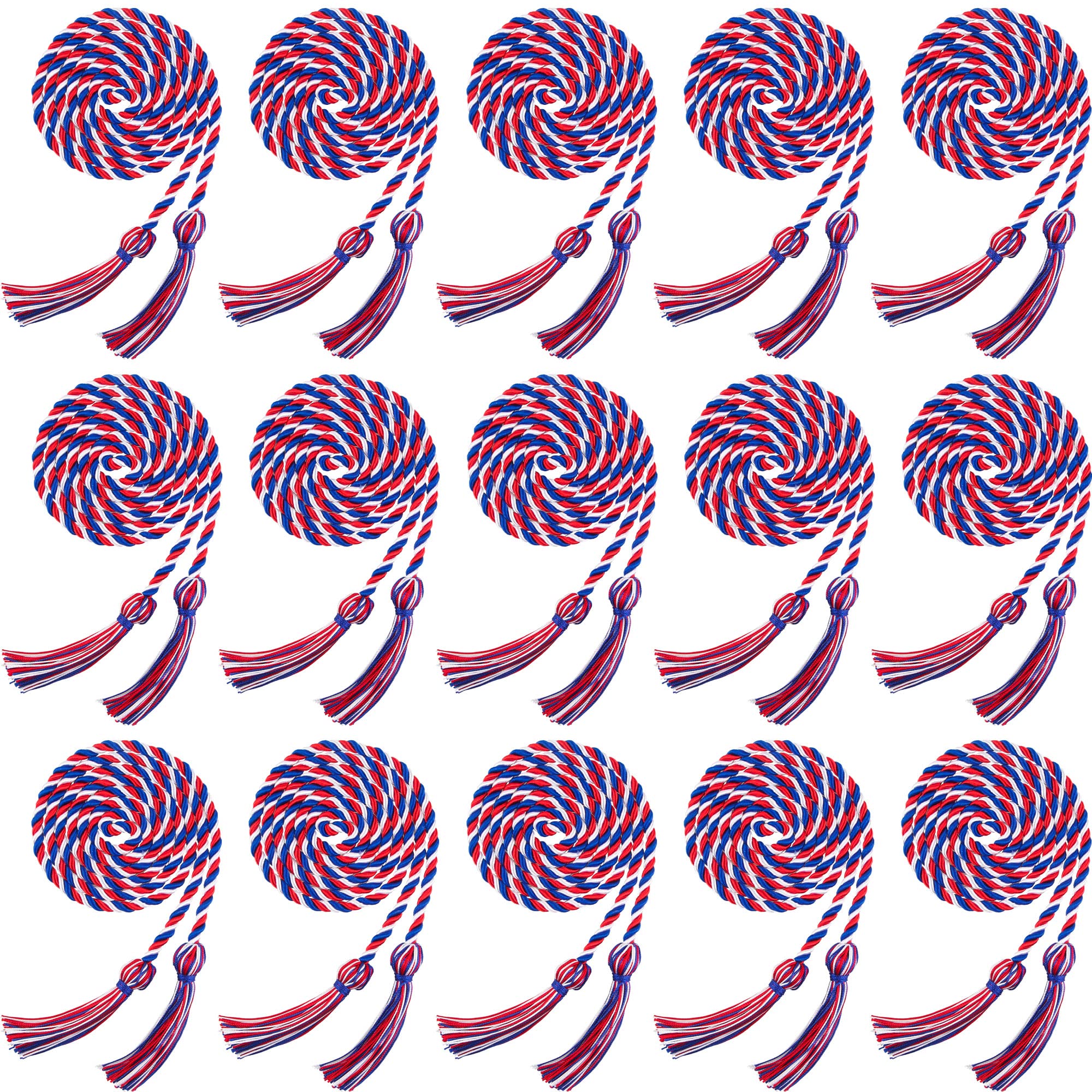 15 Pieces Graduation Honor Cord Braided Honor Cords with Tassels for Graduation Students (Black)