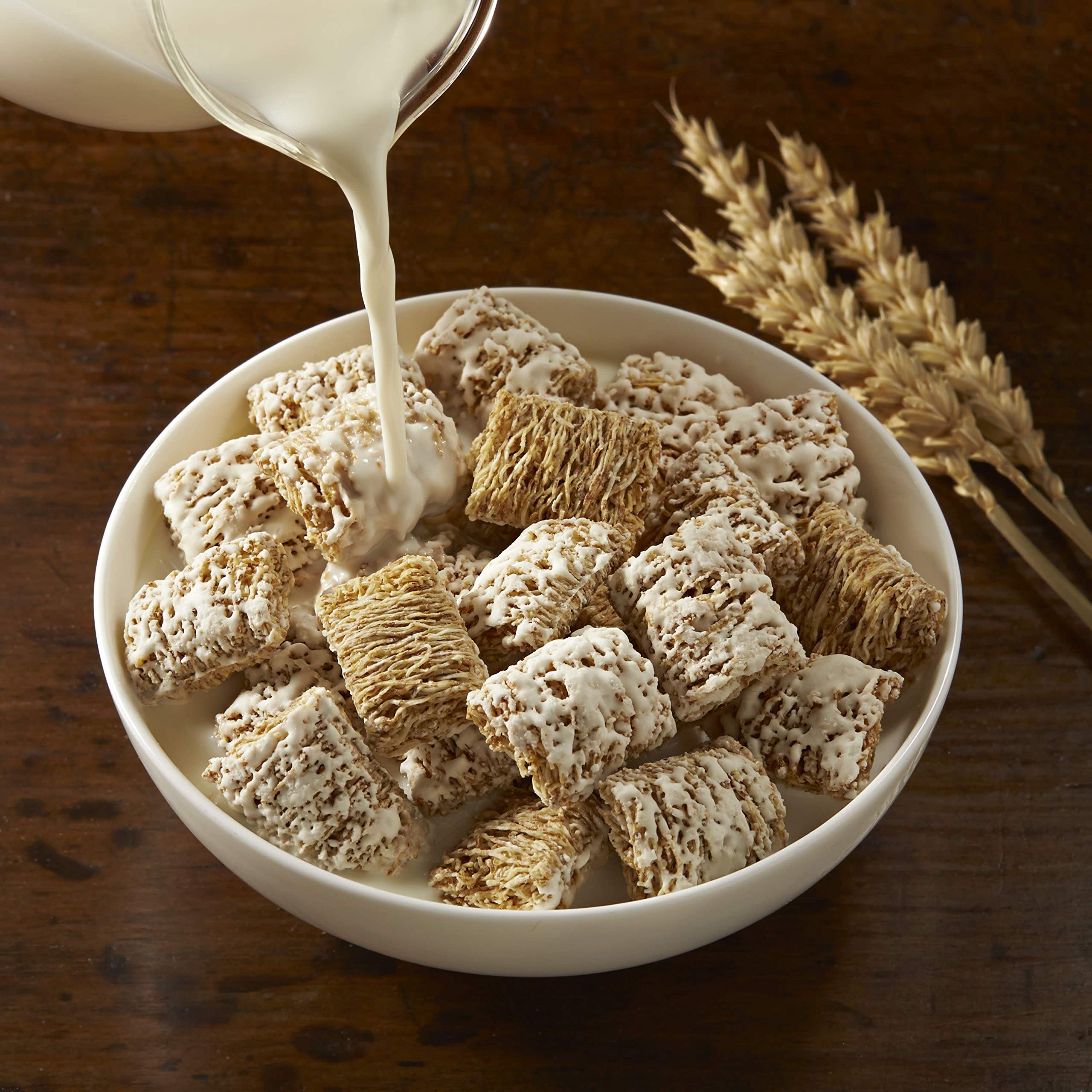 Kellogg's Frosted Mini-Wheats Cold Breakfast Cereal, High-Fiber, Whole Grain, Family Size, Original, 24oz Box (1 Box)