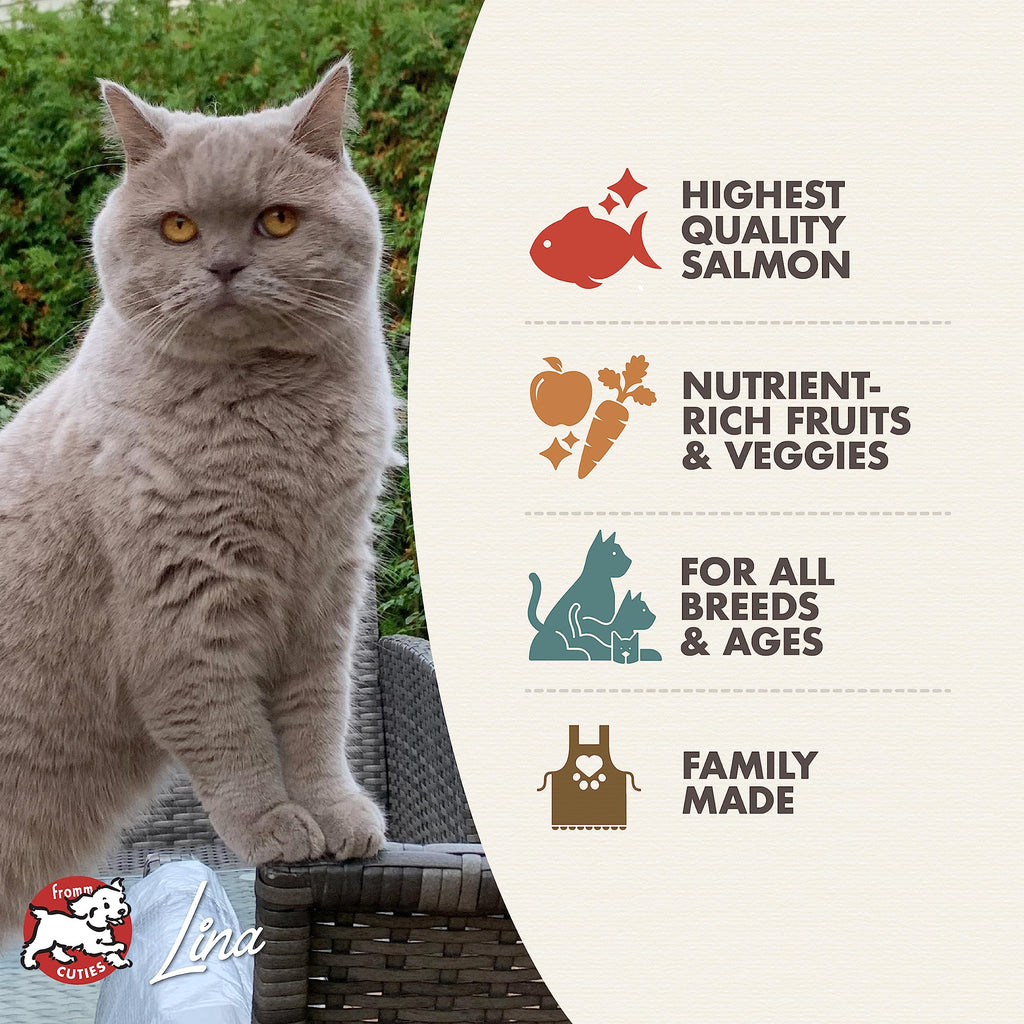 Fromm Four-Star Nutritionals Beef Livattini Veg Cat Food - Premium Dry Cat Food - Beef Recipe - 4 lb