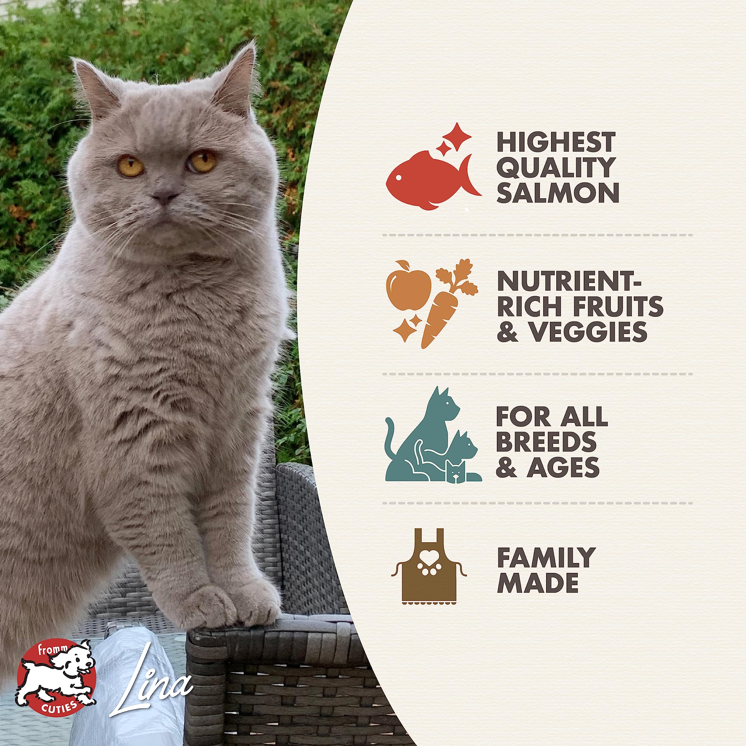 Fromm Four-Star Nutritionals Beef Livattini Veg Cat Food - Premium Dry Cat Food - Beef Recipe - 4 lb