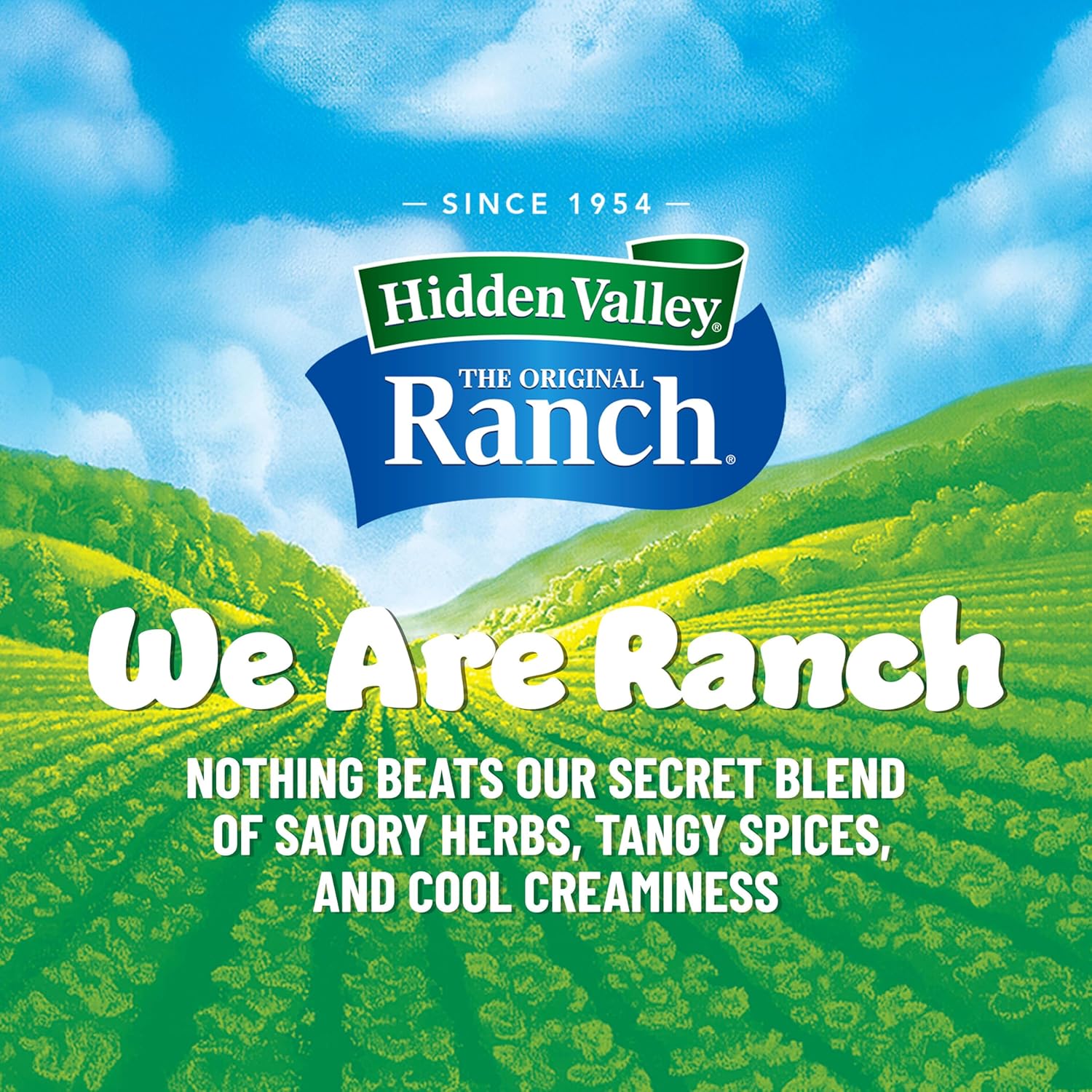 Hidden Valley Original Ranch Seasoning, Dressing and Dip Mix, 8 Ounces (Package May Vary)