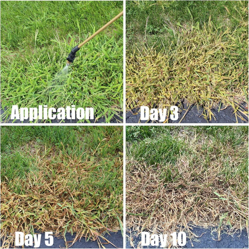 Quinclorac 1.5 L -(1/2 gal.) Compare to Drive XLR8- Kills Crabgrass