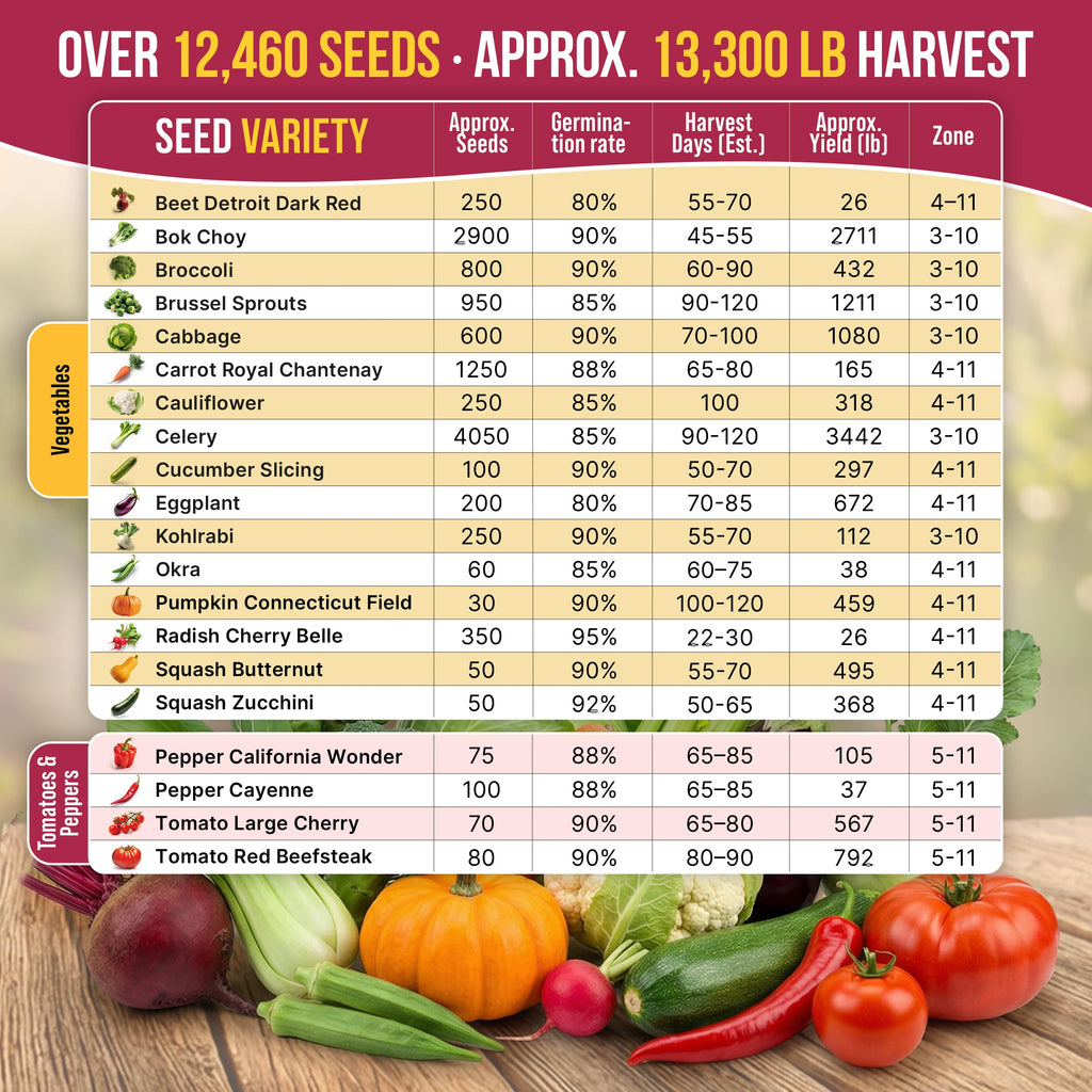 20 Vegetable Seeds Variety Pack - 12,465+ Non-GMO Heirloom Seeds for Planting Vegetables and Fruits in Individual Seed Packets, Home Garden Seed for Hydroponic, Indoor and Outdoors Gardening