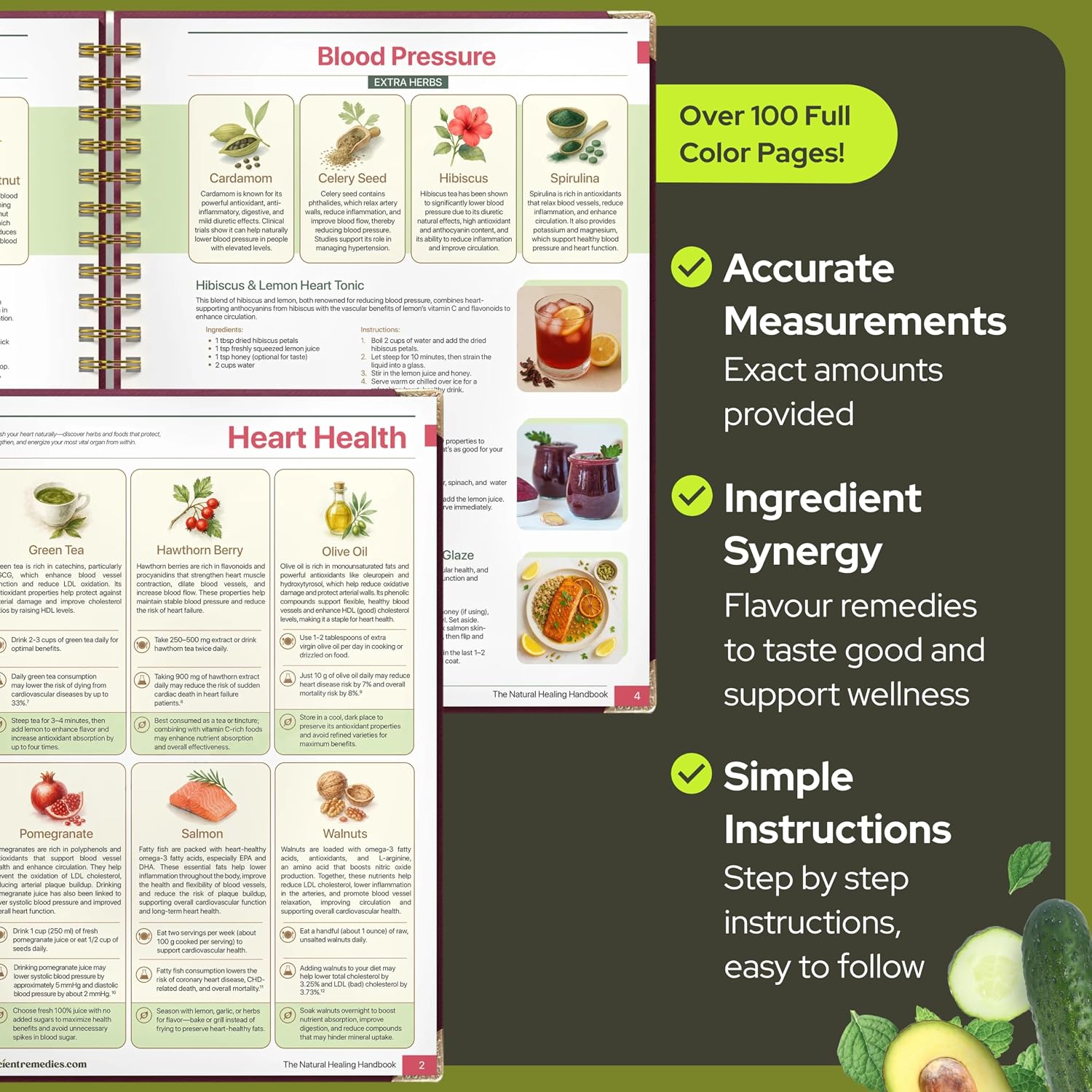 The Natural Healing Handbook, Spiral-Bound Guide for Herbal Remedies and Natural Recipes, by Ancient Remedies (The Natural Healing Handbook by Ancient Remedies)