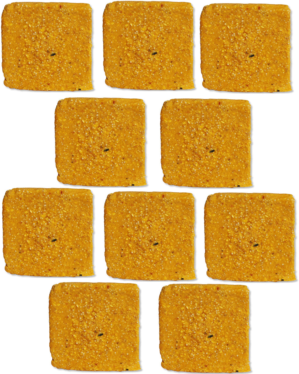 ST. ALBANS BAY SUET PLUS Suet Cake Variety Packs | 11 oz. Wild Bird Suet Cakes | (Apple, 10 Pack)