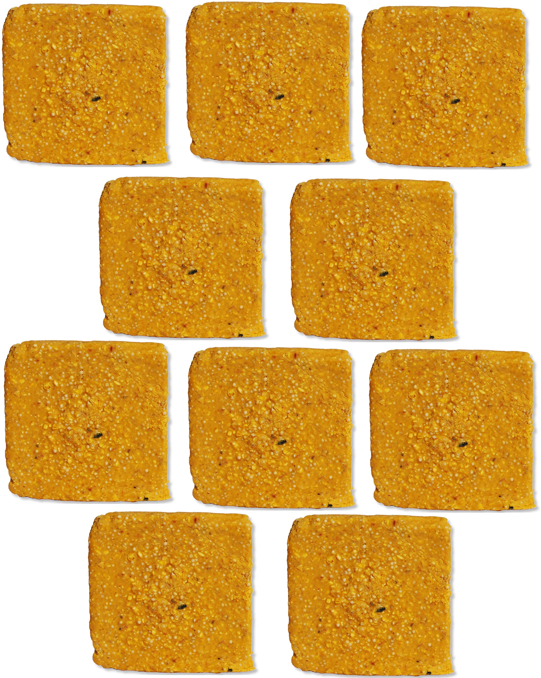 ST. ALBANS BAY SUET PLUS Suet Cake Variety Packs | 11 oz. Wild Bird Suet Cakes | (Apple, 10 Pack)