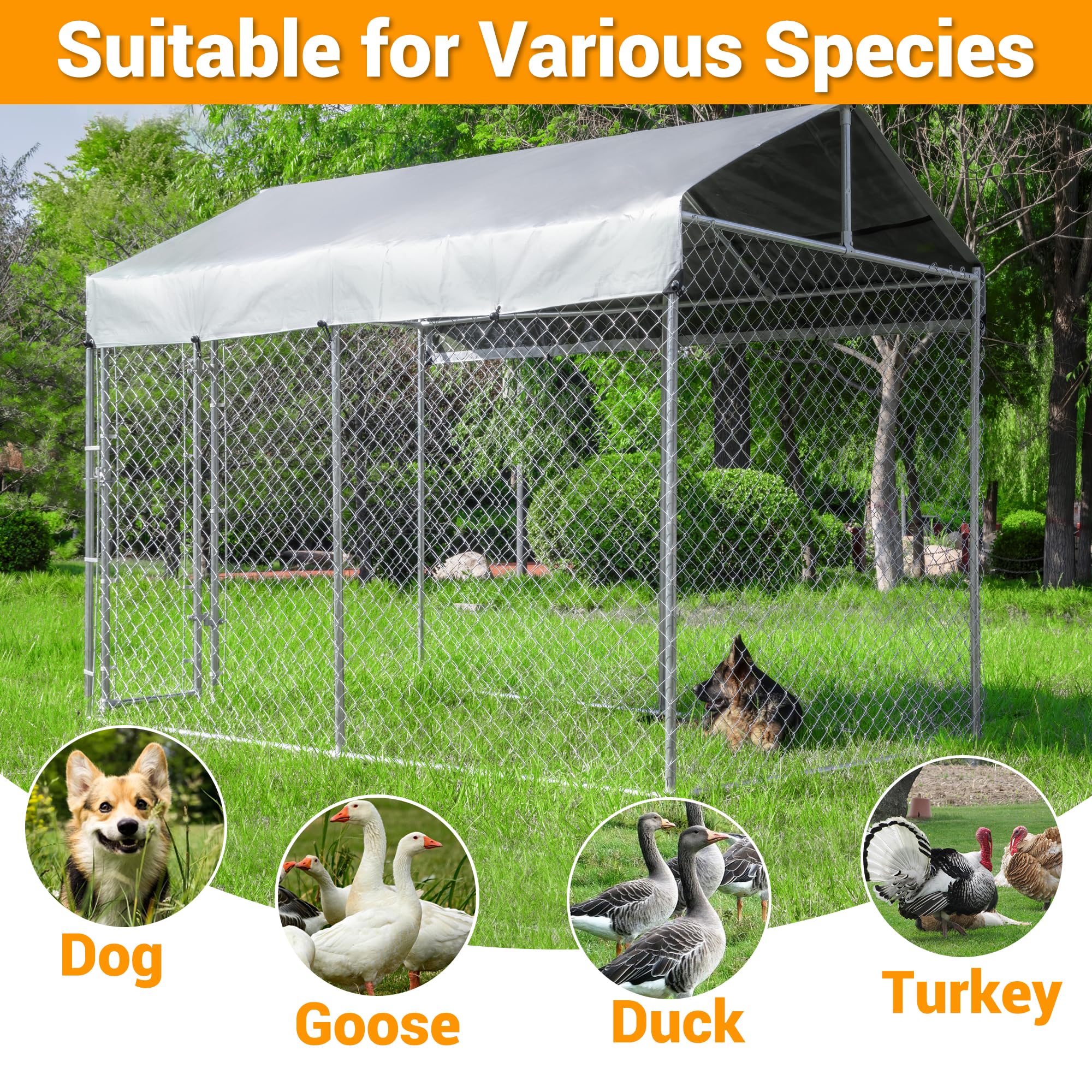 Dog Kennel Outside with Roof, Large Dog Run Enclosure, Outdoor Heavy Duty Pens House Pet Playpen with Galvanized Chain Link Waterproof Cover and Secure Lock(6.76'Lx6.76'Wx5.64'H)