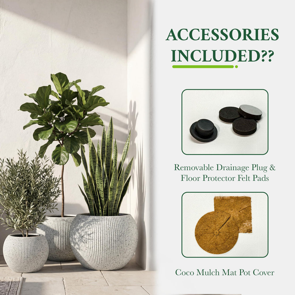 DTY Fiberstone Globe Planter Indoor Outdoor — Lightweight Sphere Ball Pot for Olive Tree, Monstera & Palm | Fiberglass Stone | UV Resistant, Drainage Hole | 2 Coco Mats | Black | 12.6" D × 10" H