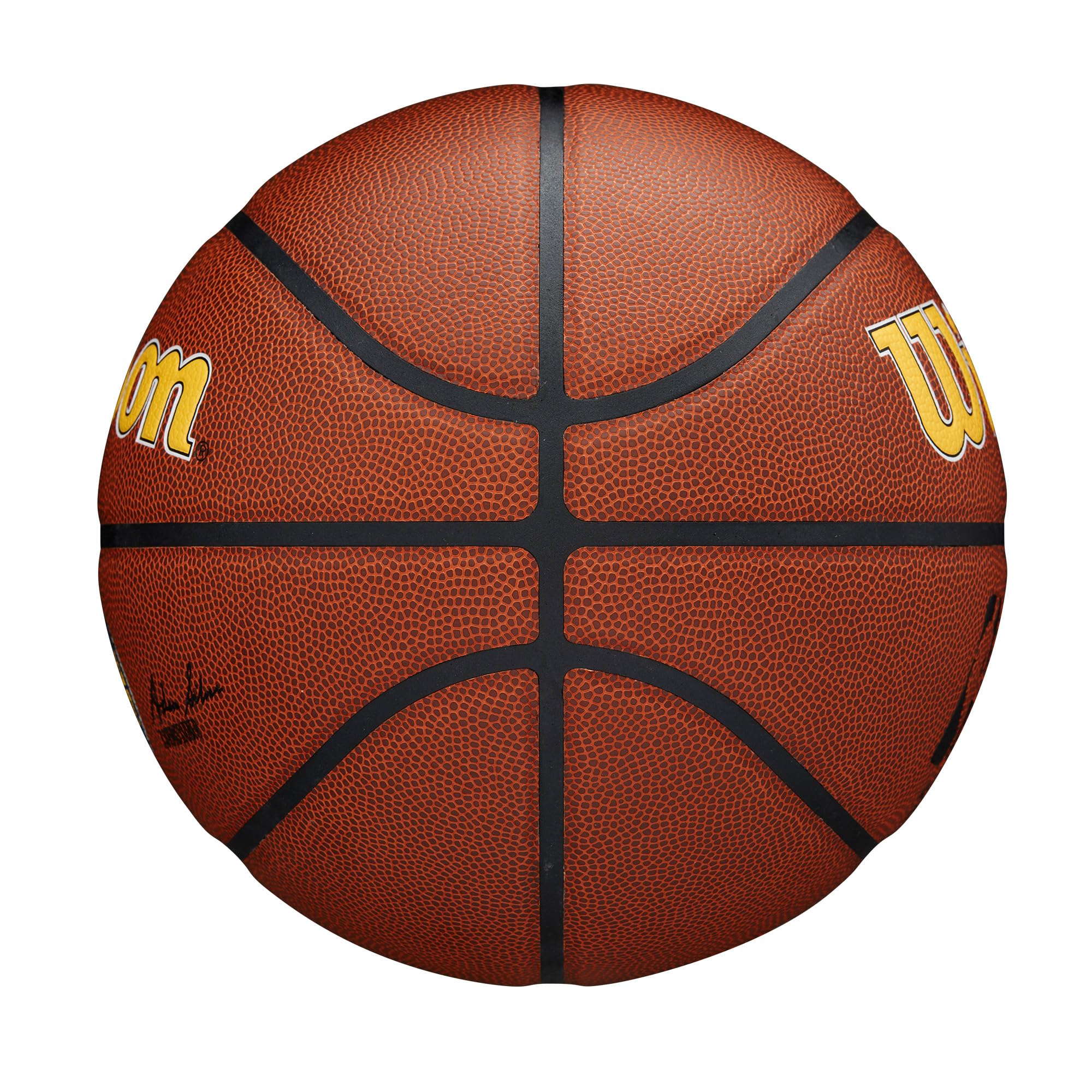 WILSON NBA Team Alliance Basketballs - Size 7-29.5"