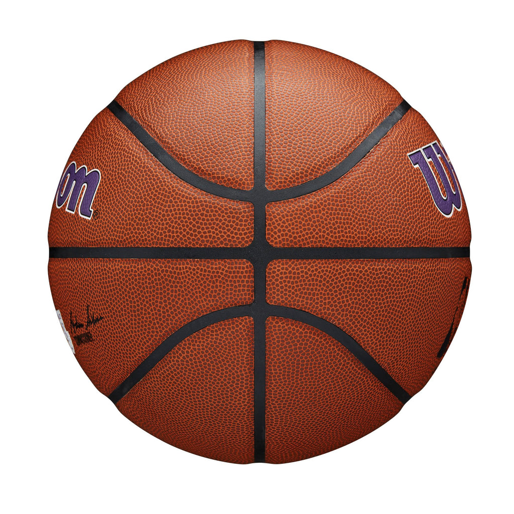 WILSON NBA Team Alliance Basketballs - Size 7-29.5"