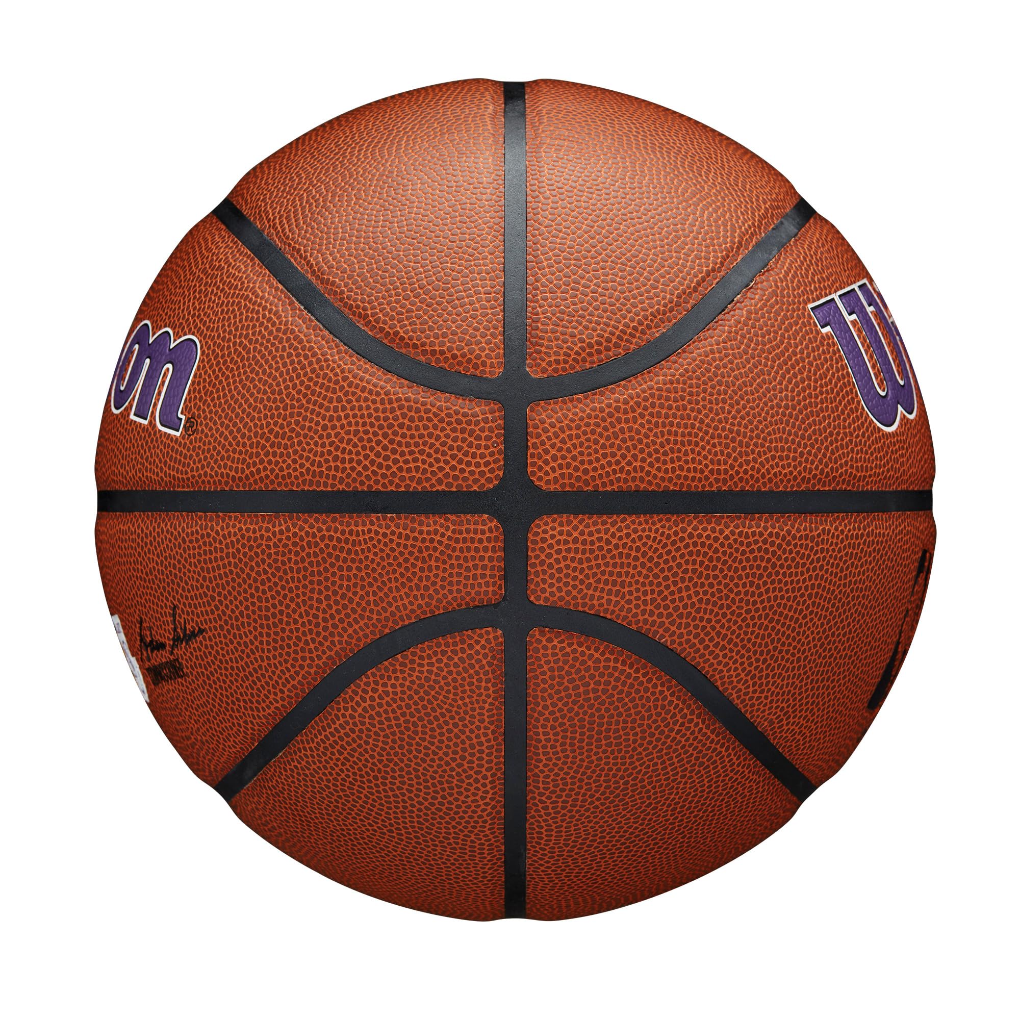 WILSON NBA Team Alliance Basketballs - Size 7-29.5"