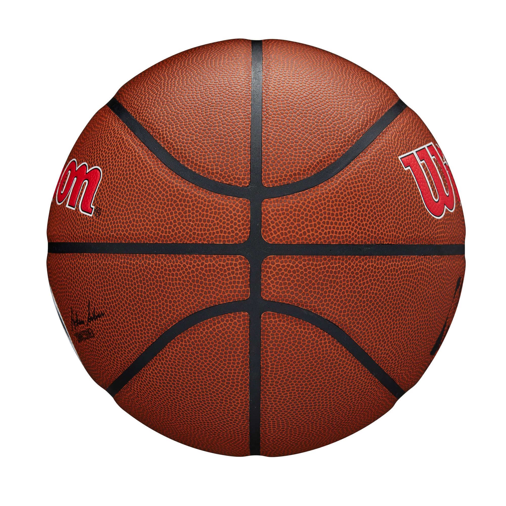 WILSON NBA Team Alliance Basketballs - Size 7-29.5"
