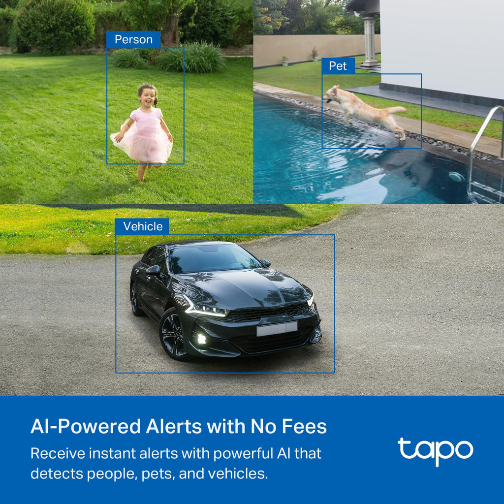 Tapo by TP-Link Wireless Outdoor Security Camera, 1080P, Up to 180 Days Battery Life, Free Person Detection, SD/Cloud Storage, Spotlight Color Night Vision, Alarm, No Hub Needed, Black, C403