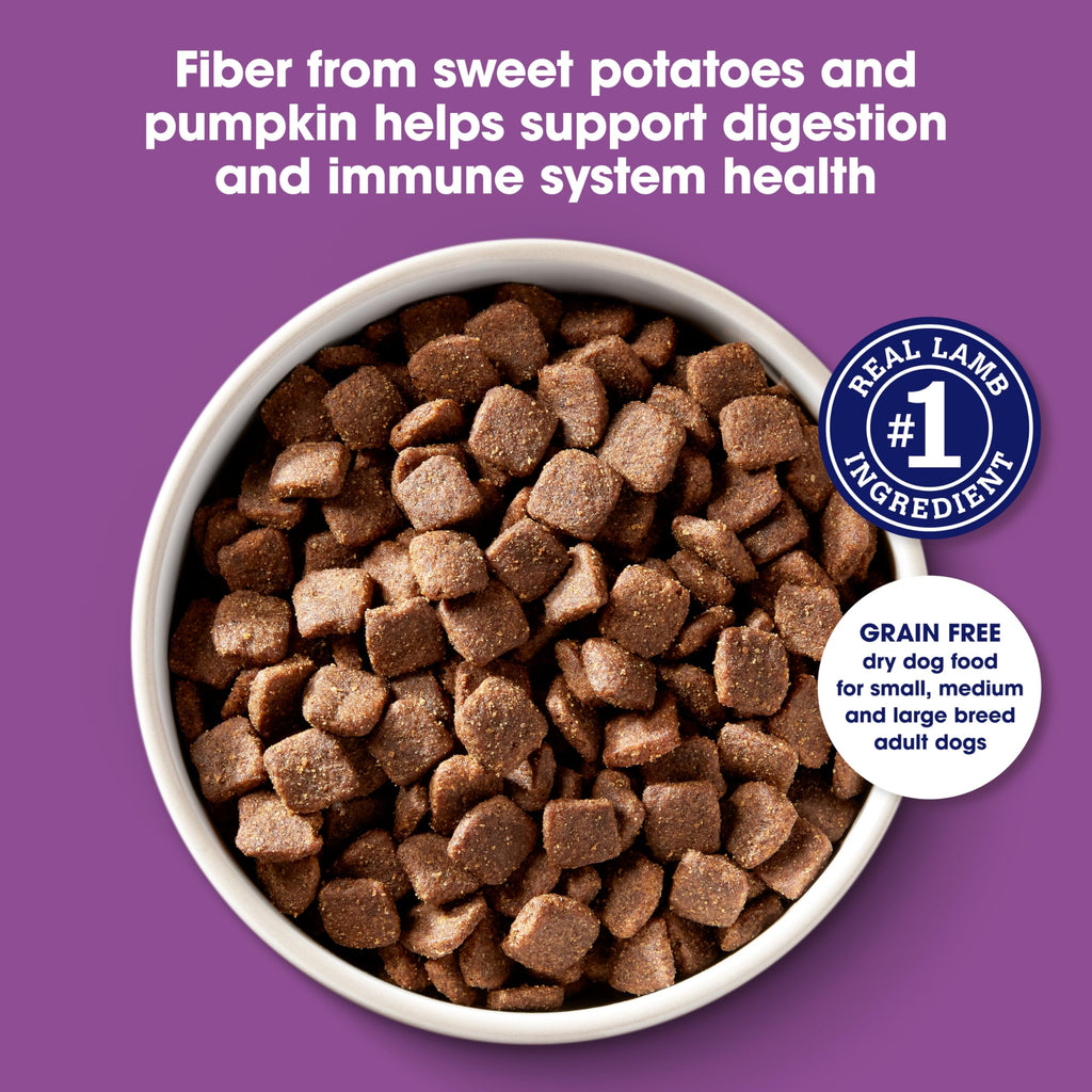 Nature's Recipe Grain Free Dry Dog Food, Lamb, Sweet Potato & Pumpkin Recipe, 4 lb. Bag