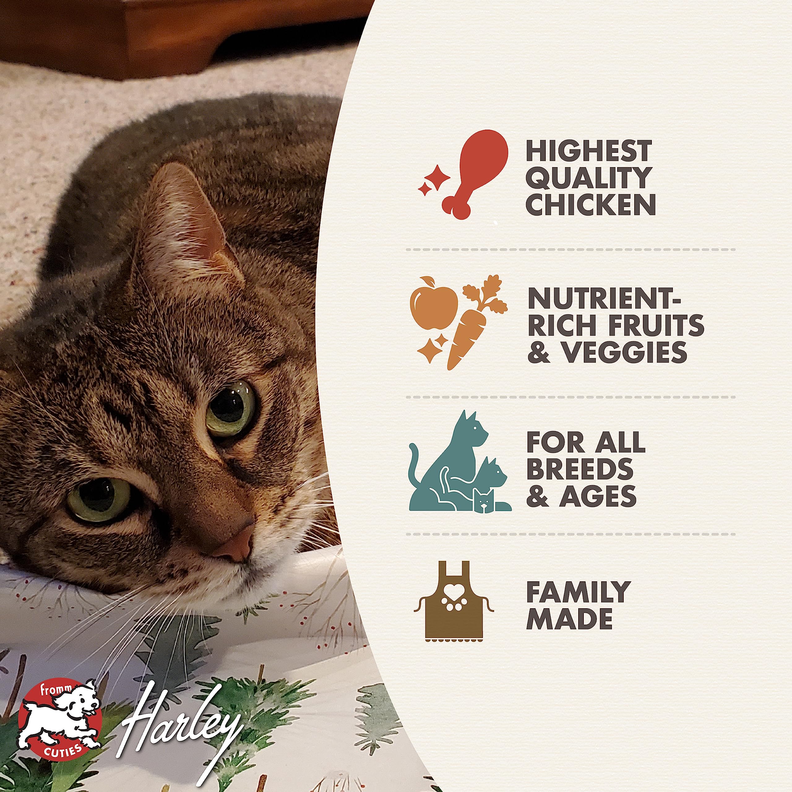 Fromm Four-Star Nutritionals Beef Livattini Veg Cat Food - Premium Dry Cat Food - Beef Recipe - 4 lb