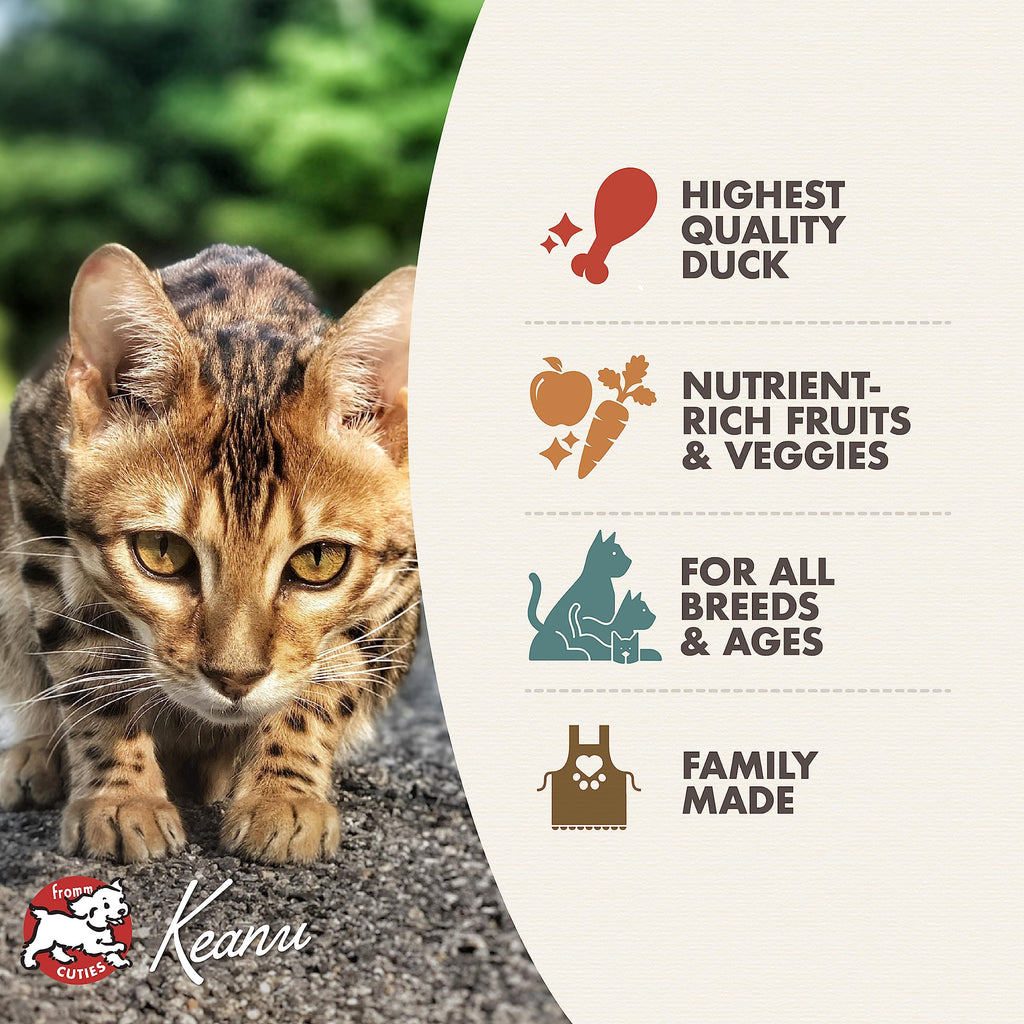 Fromm Four-Star Nutritionals Beef Livattini Veg Cat Food - Premium Dry Cat Food - Beef Recipe - 4 lb