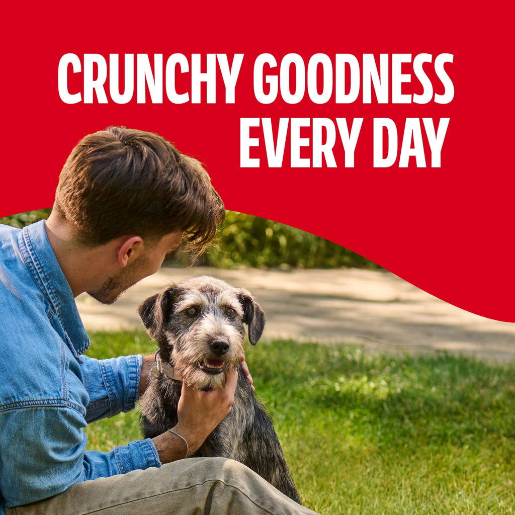 Milk-Bone Crunchy Small Dog Treats, 24 Oz. Boxes, Original Beef Flavor (Pack of 12)