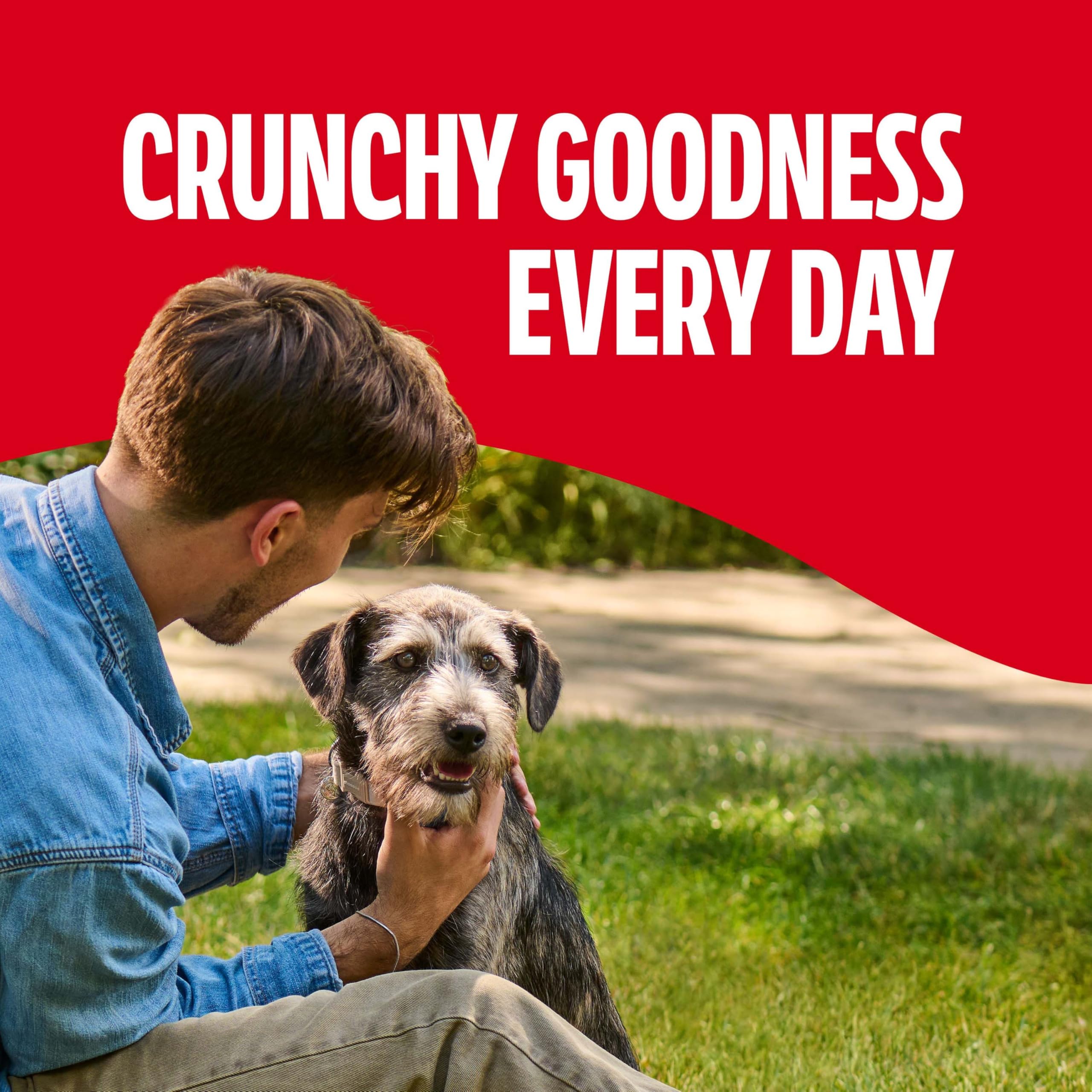 Milk-Bone Crunchy Small Dog Treats, 24 Oz. Boxes, Original Beef Flavor (Pack of 12)