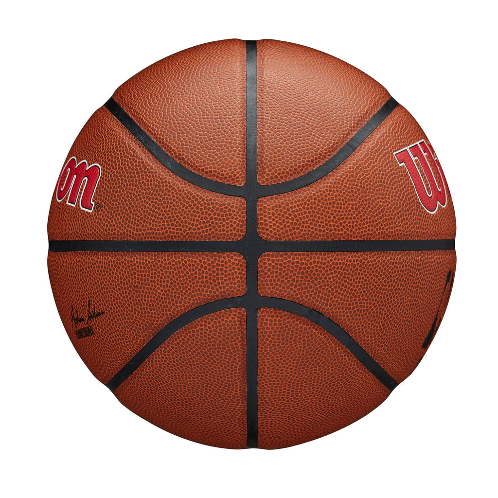 WILSON NBA Team Alliance Basketballs - Size 7-29.5"
