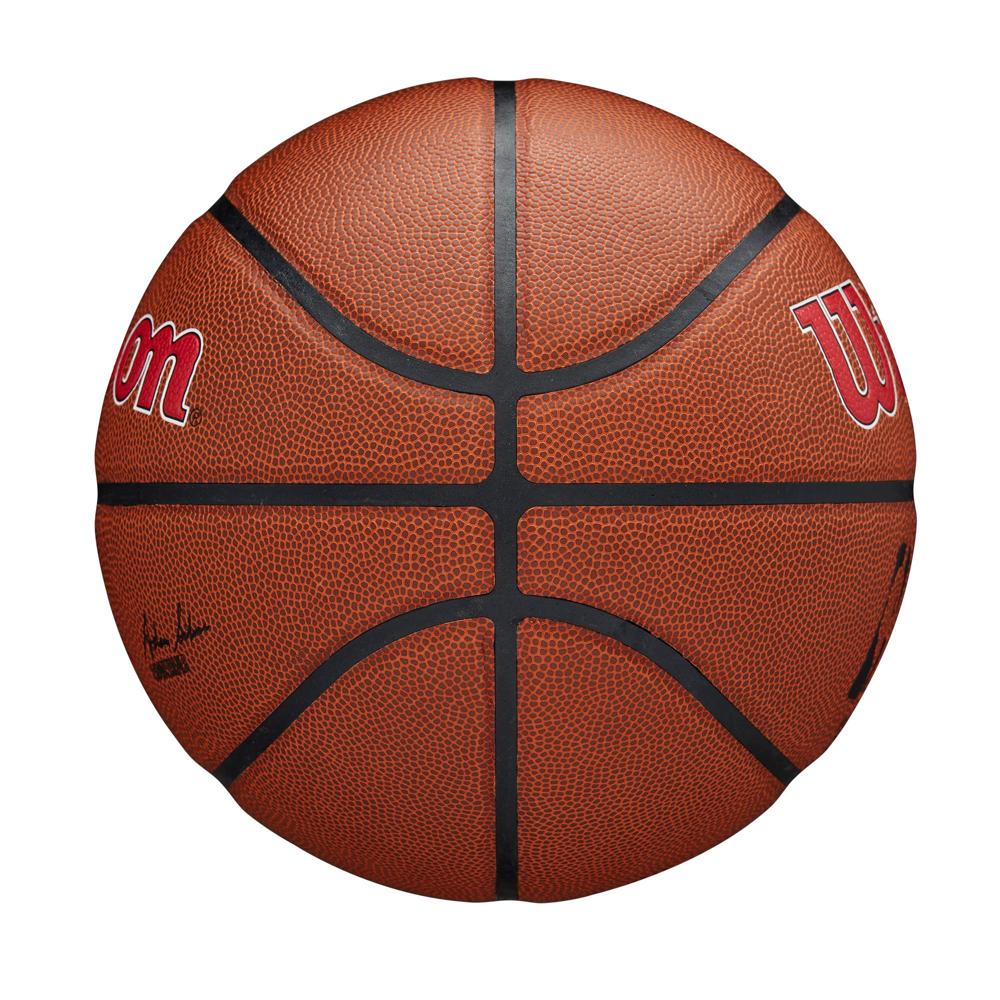 WILSON NBA Team Alliance Basketballs - Size 7-29.5"