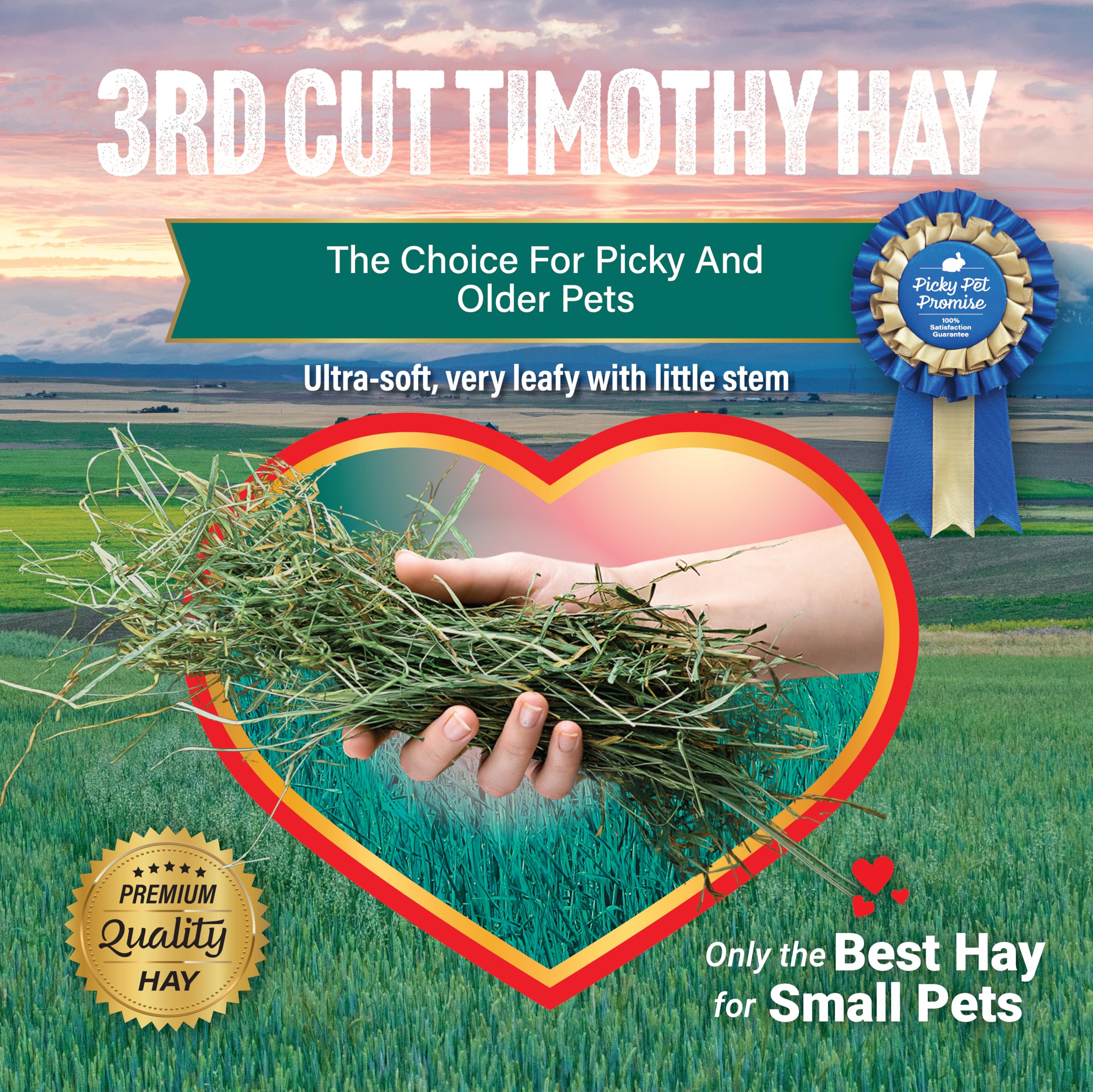 Small Pet Select 3rd Cutting Super Soft Timothy Hay Pet Food for Picky Eaters, Rabbits, Guinea Pigs, and Other Small Animals, Easy to Store Box, 2 LB